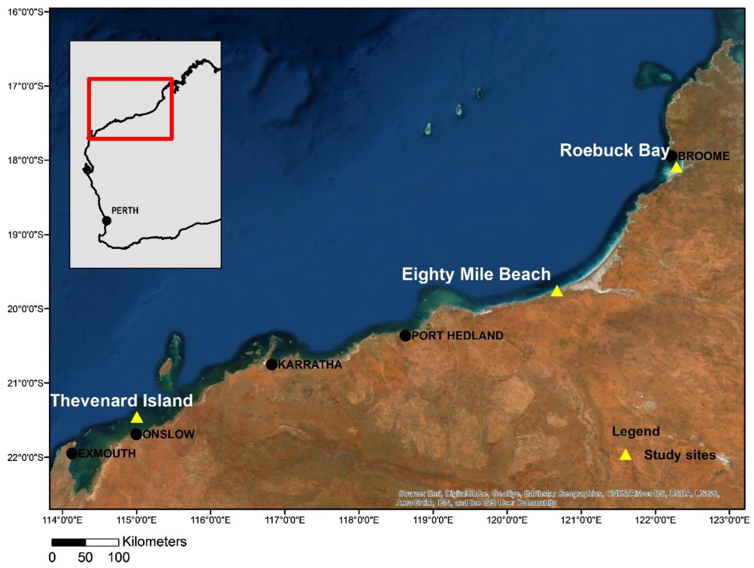 Pathogens 13 01112 g001