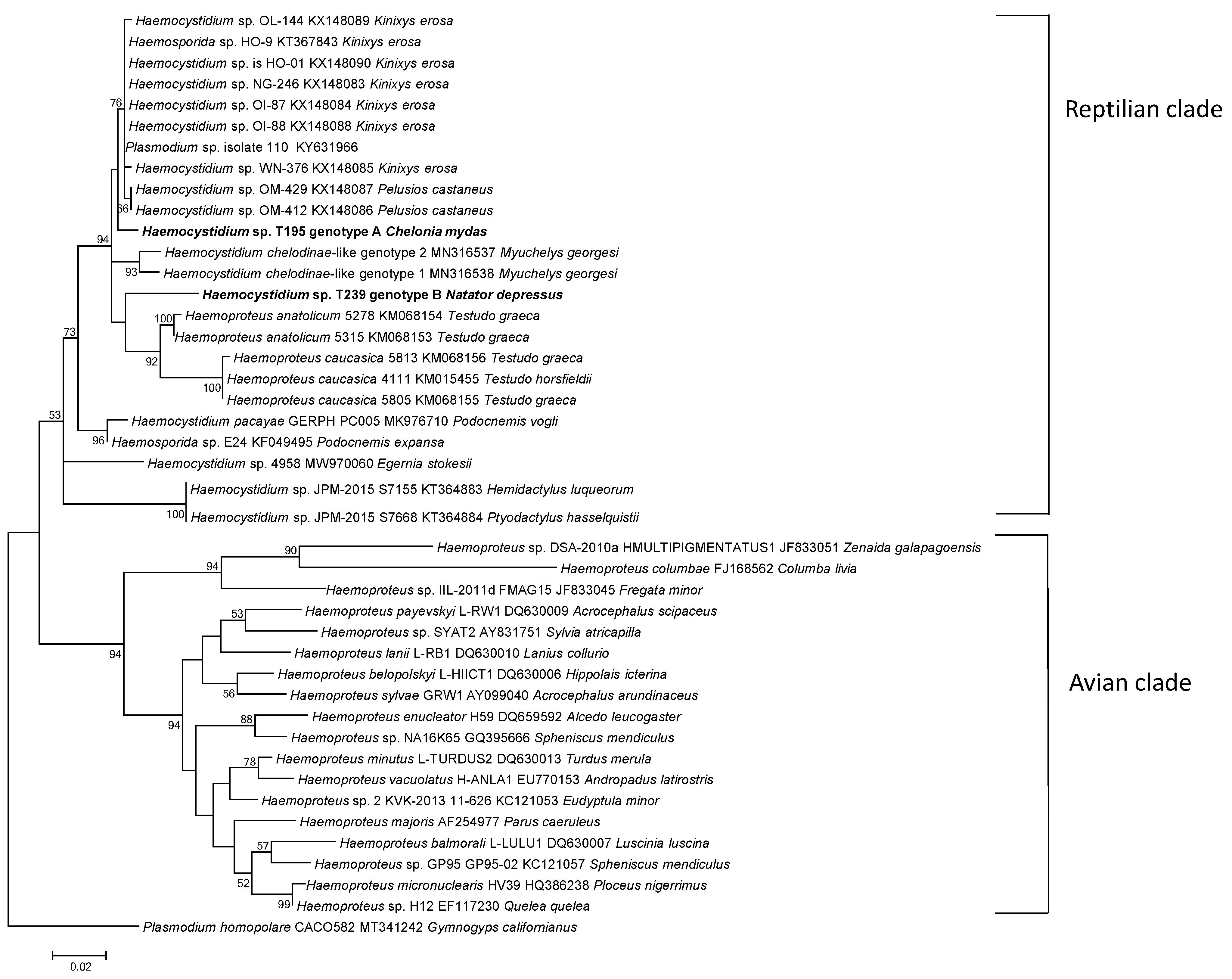 Pathogens 13 01112 g005
