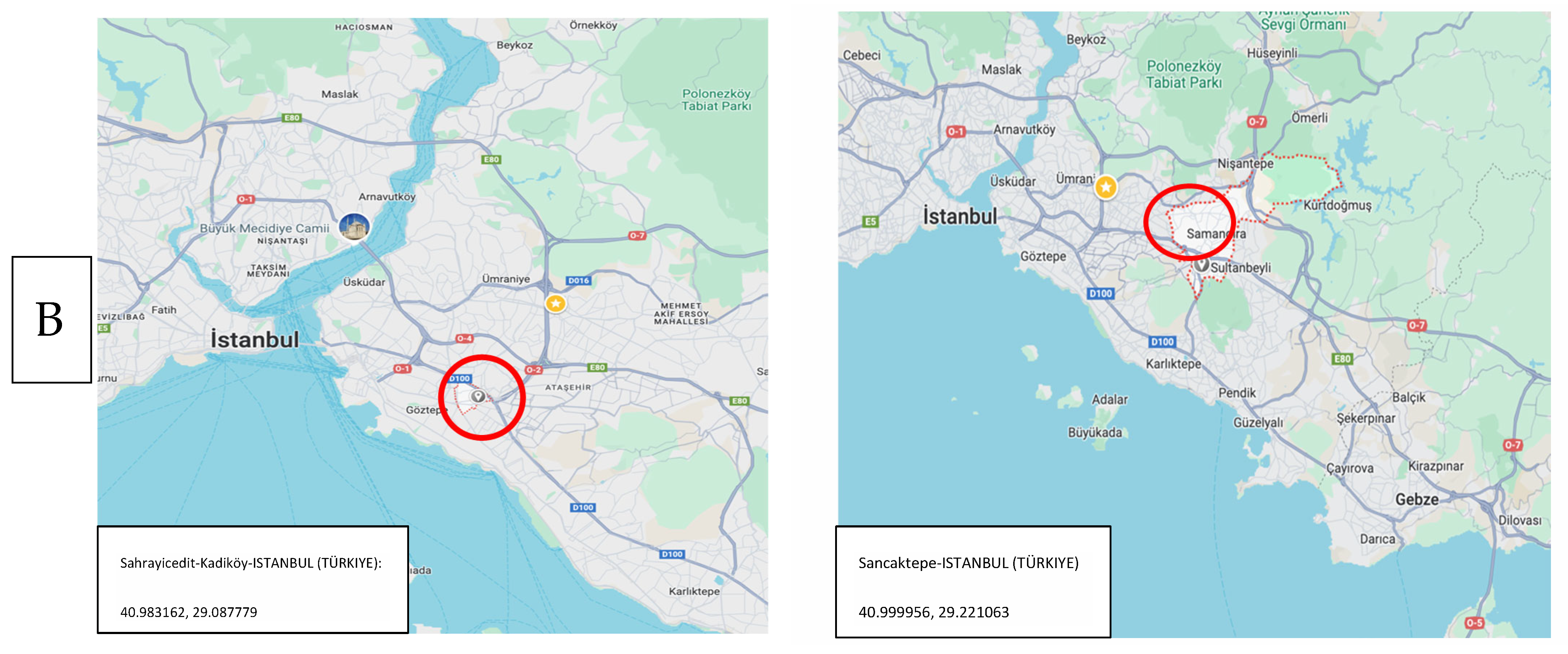 Pathogens 13 01116 g001b
