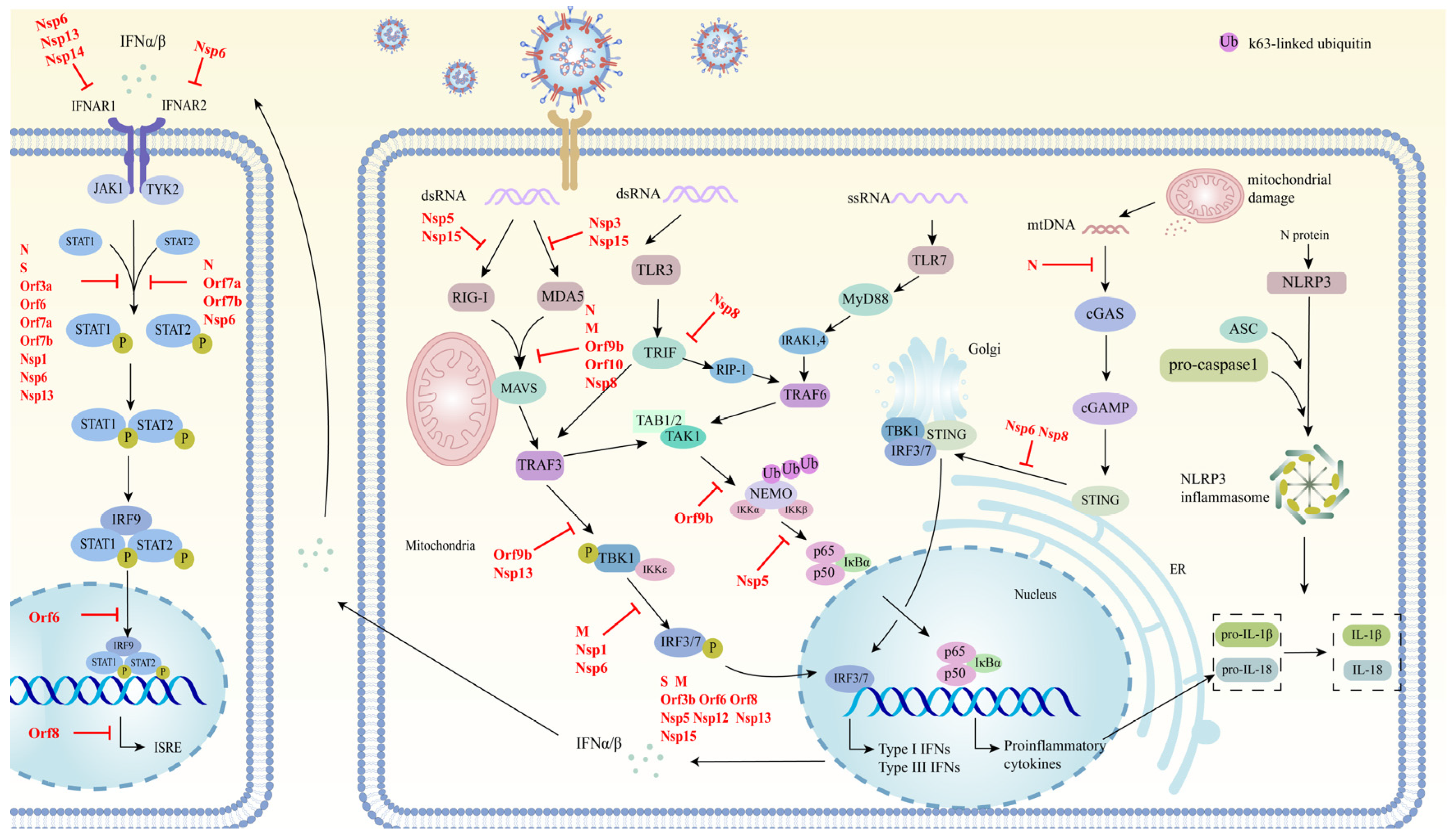 Pathogens 13 01117 g003