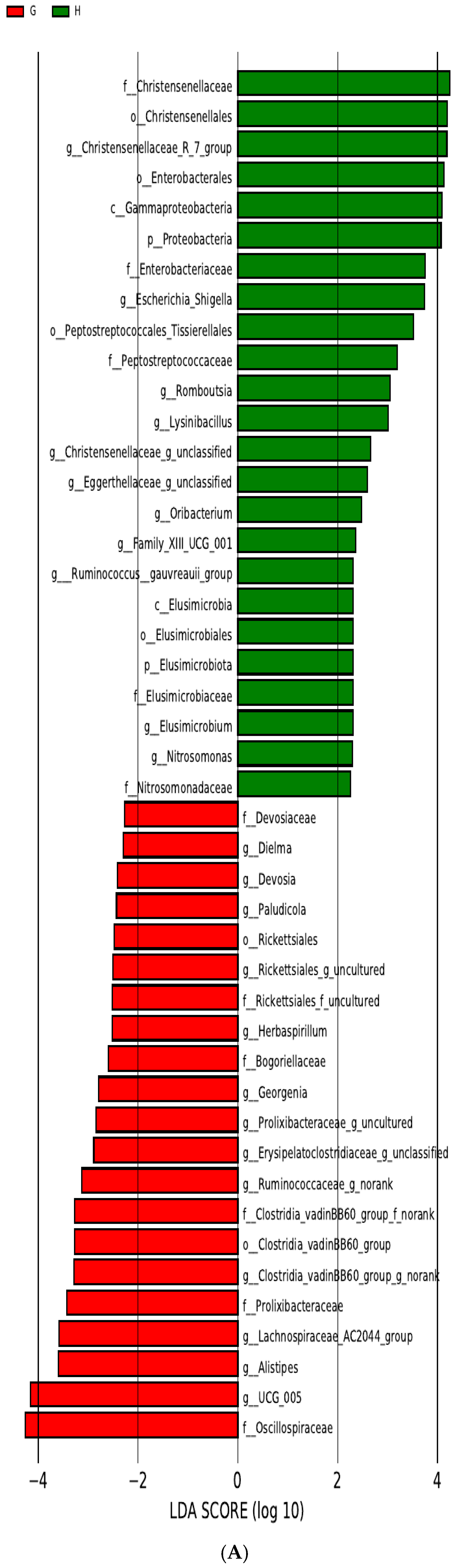 Pathogens 13 01118 g004a