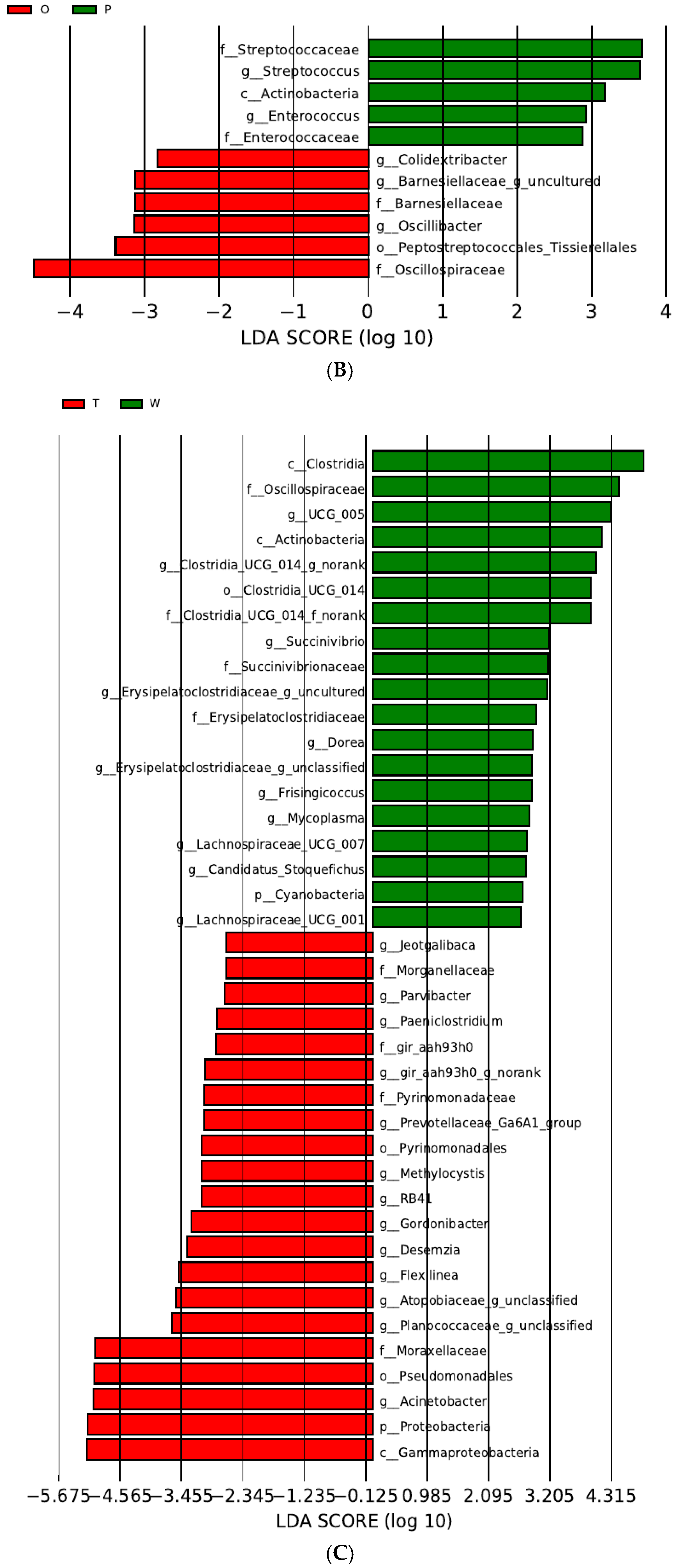 Pathogens 13 01118 g004b