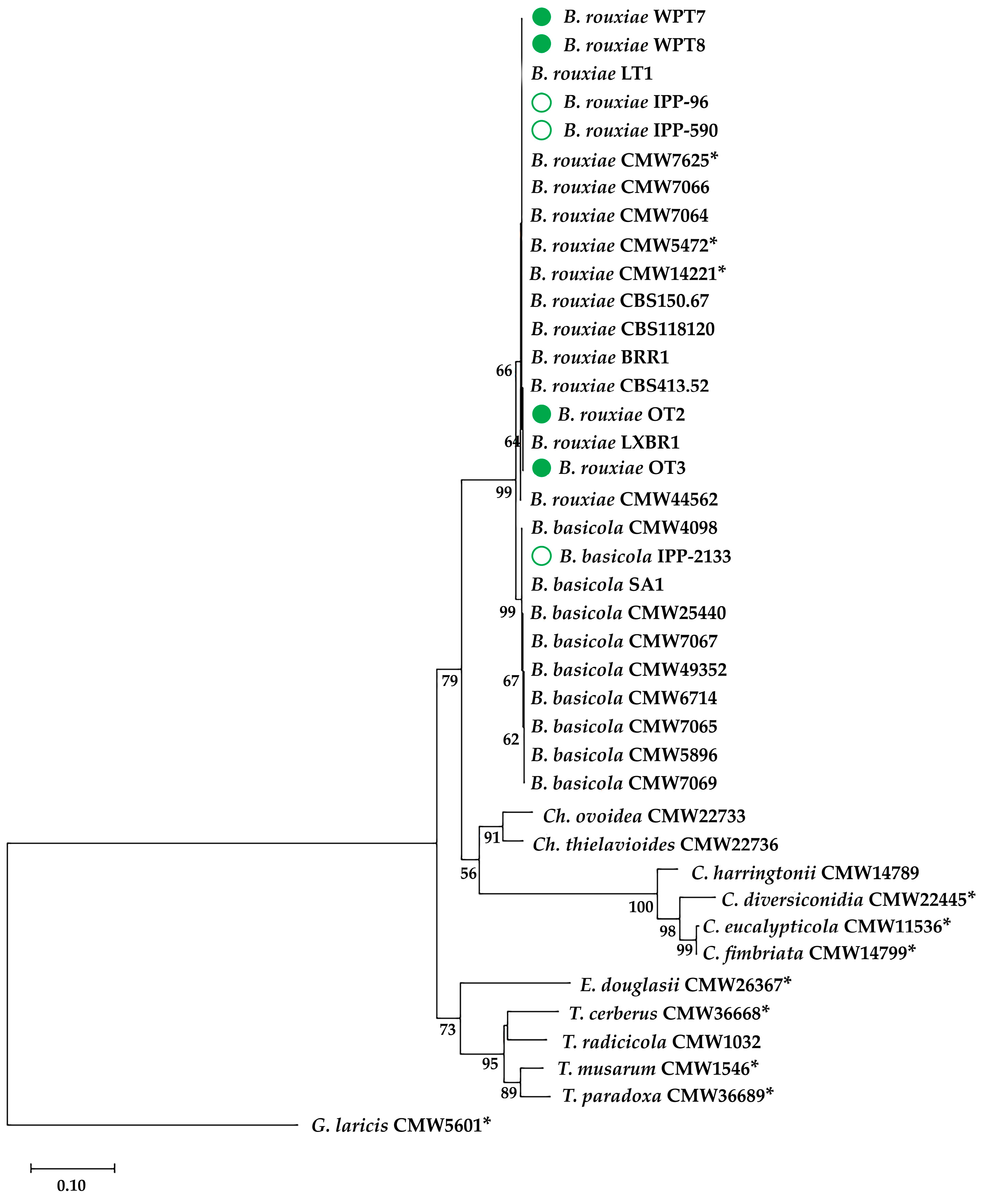 Pathogens 13 01120 g002 Pathogens 13 01120 g002