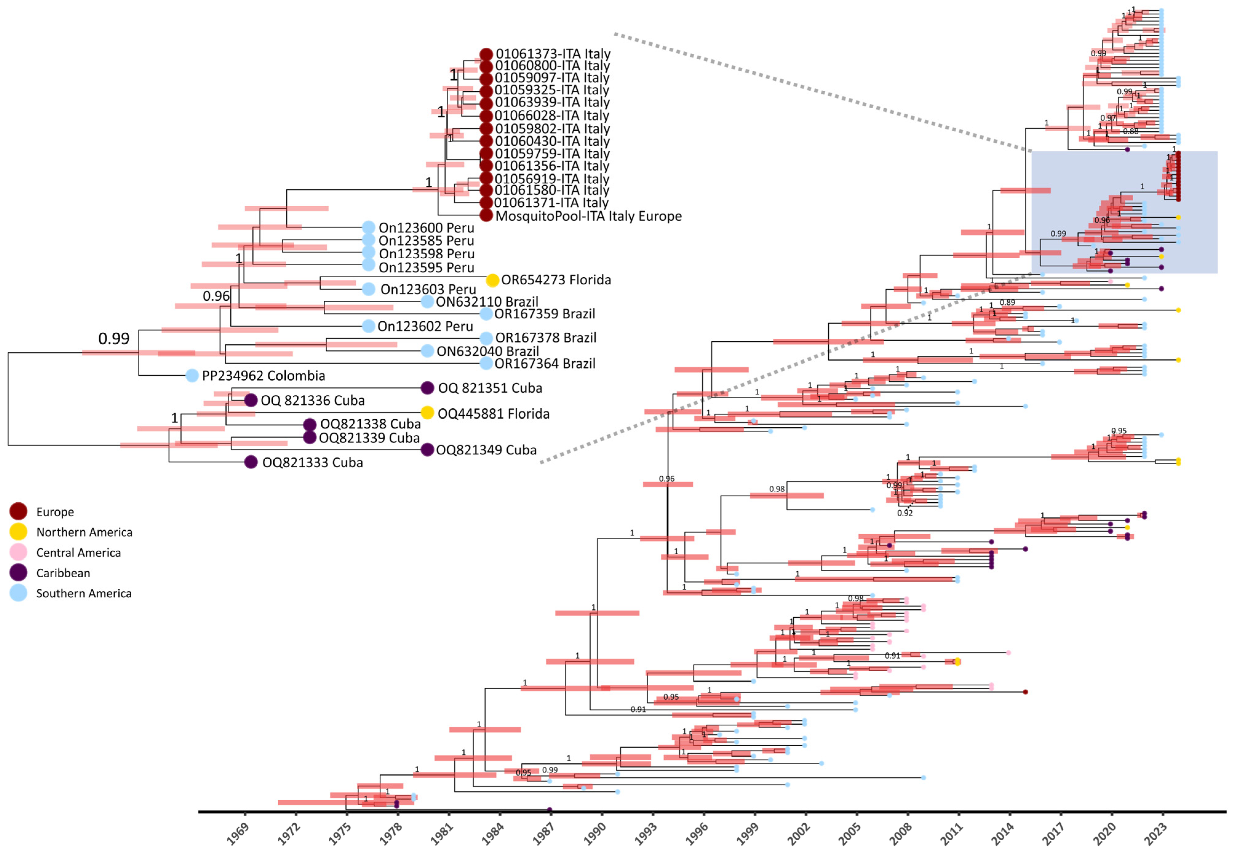 Pathogens 13 01124 g004