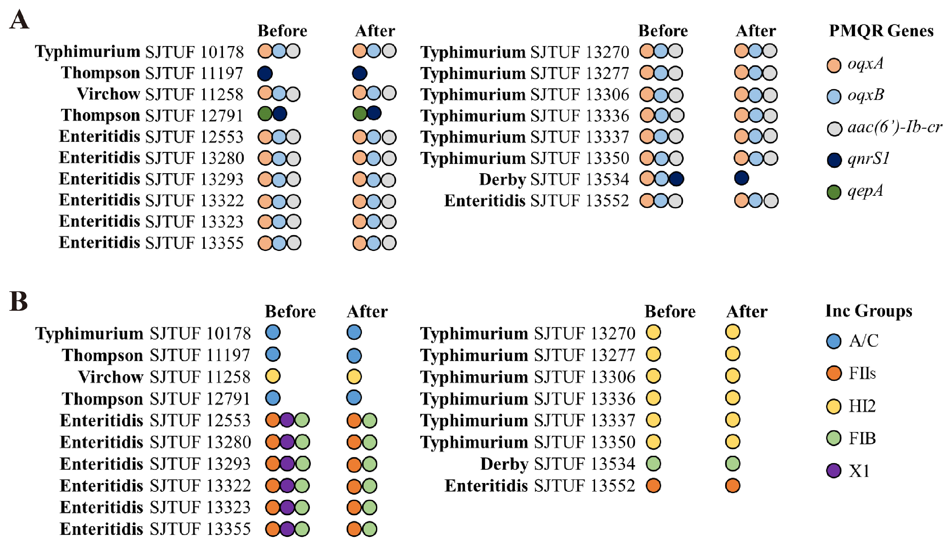 Pathogens 13 01126 g001 Pathogens 13 01126 g001