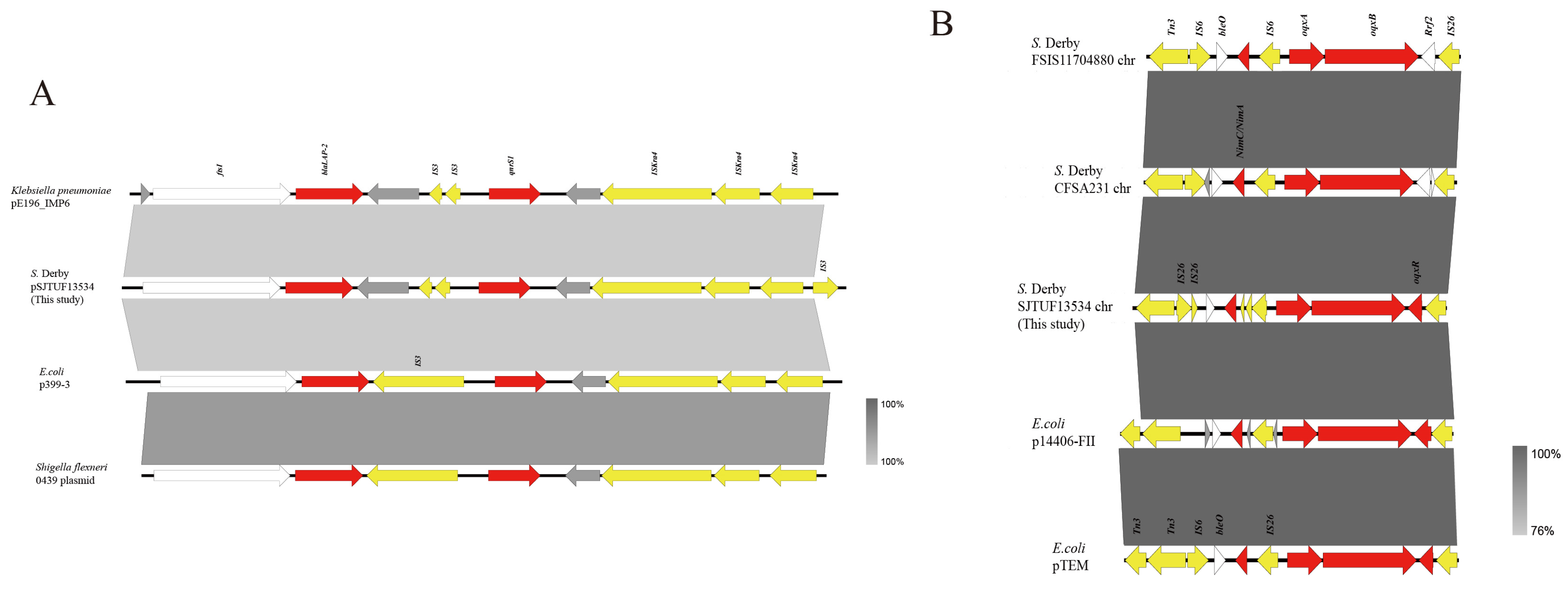 Pathogens 13 01126 g003 Pathogens 13 01126 g003