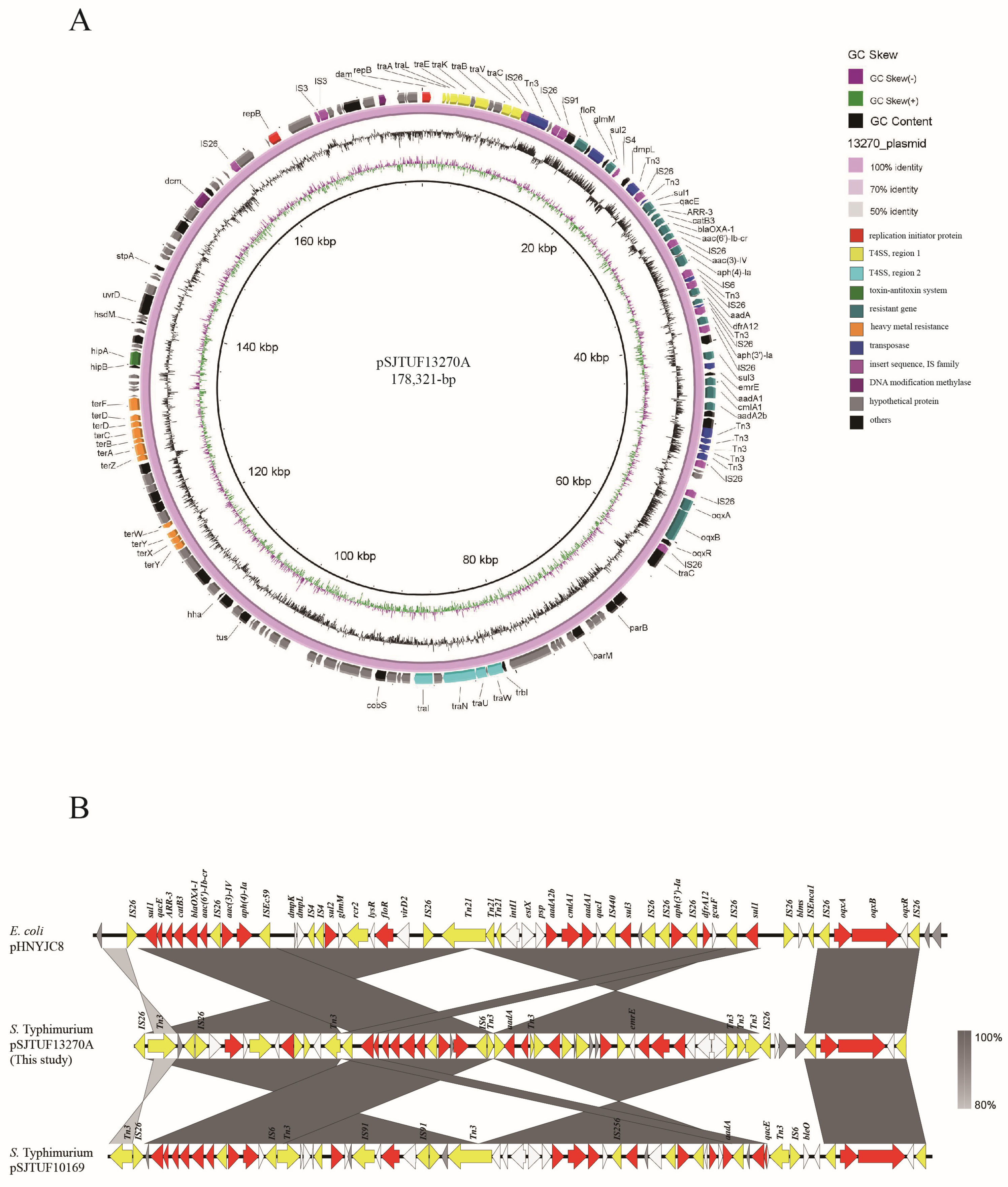 Pathogens 13 01126 g004 Pathogens 13 01126 g004