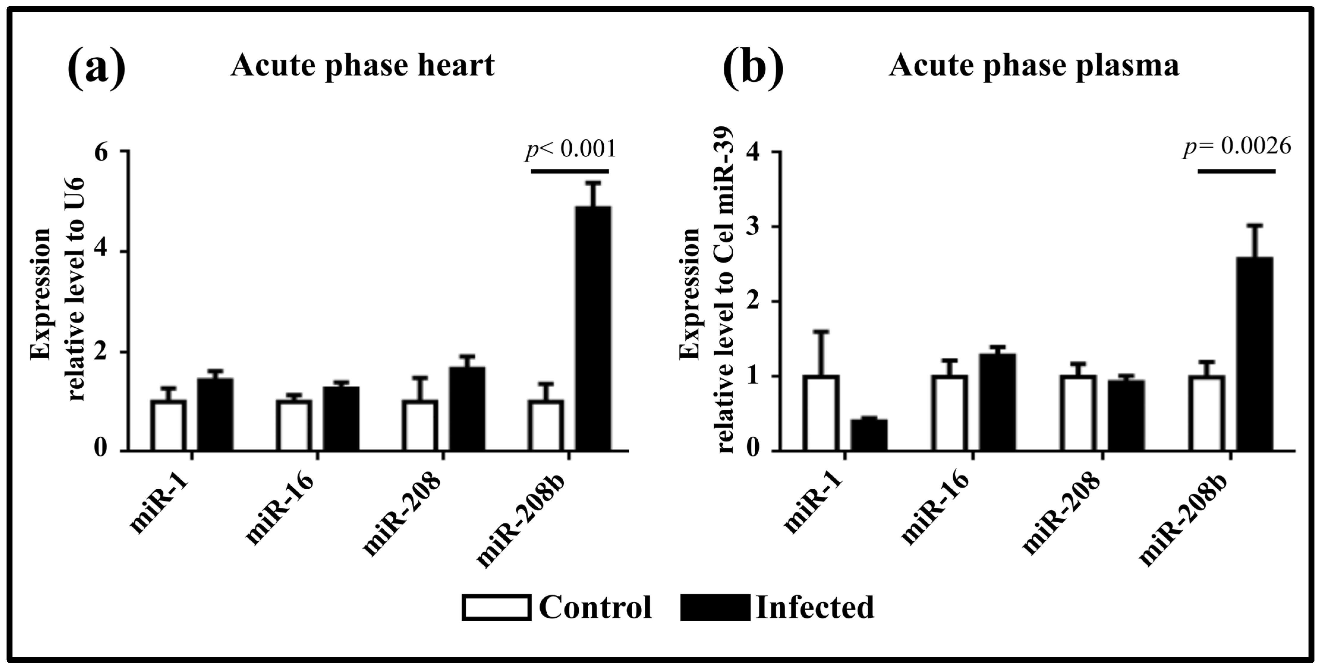 Pathogens 13 01127 g002 Pathogens 13 01127 g002