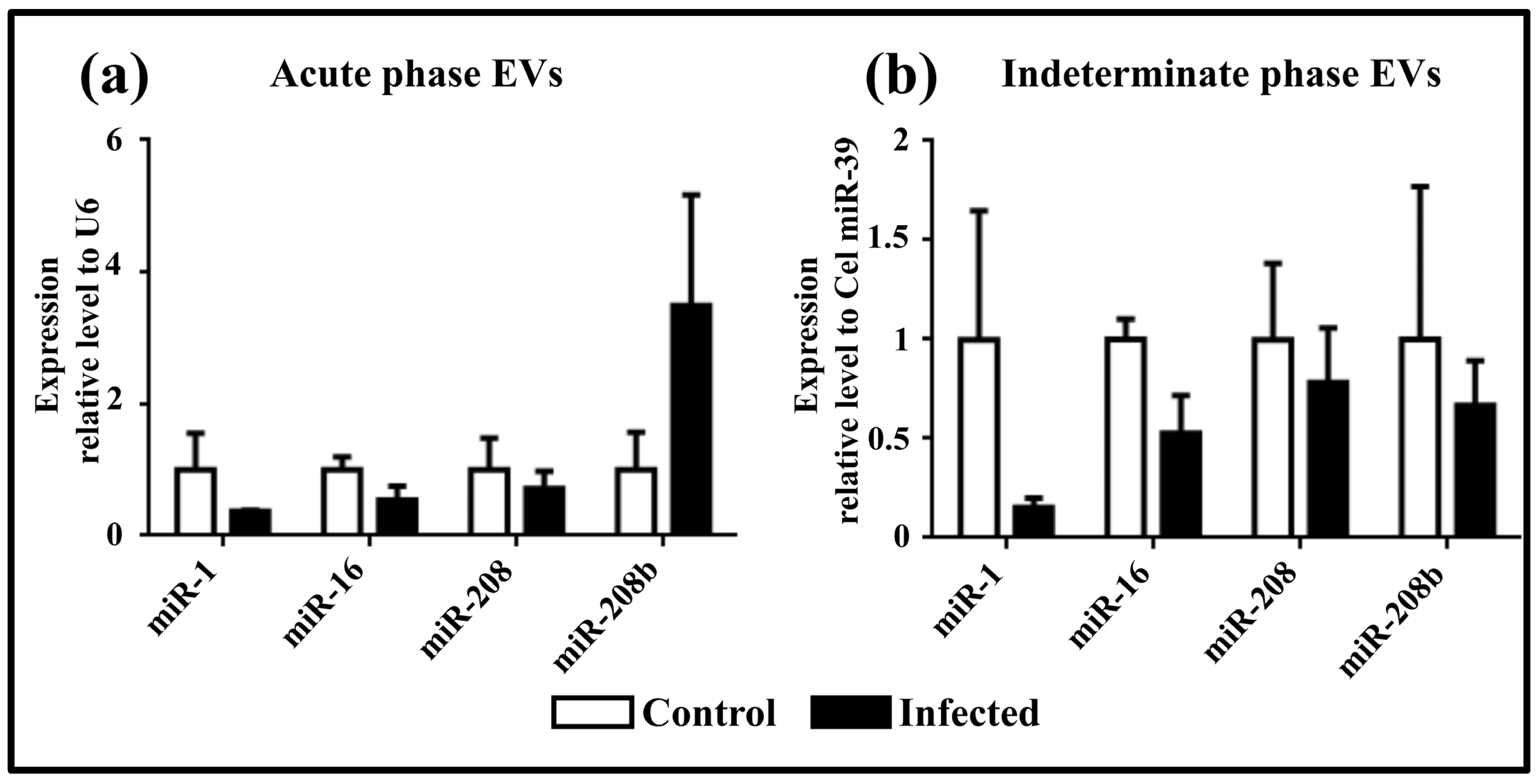 Pathogens 13 01127 g004 Pathogens 13 01127 g004