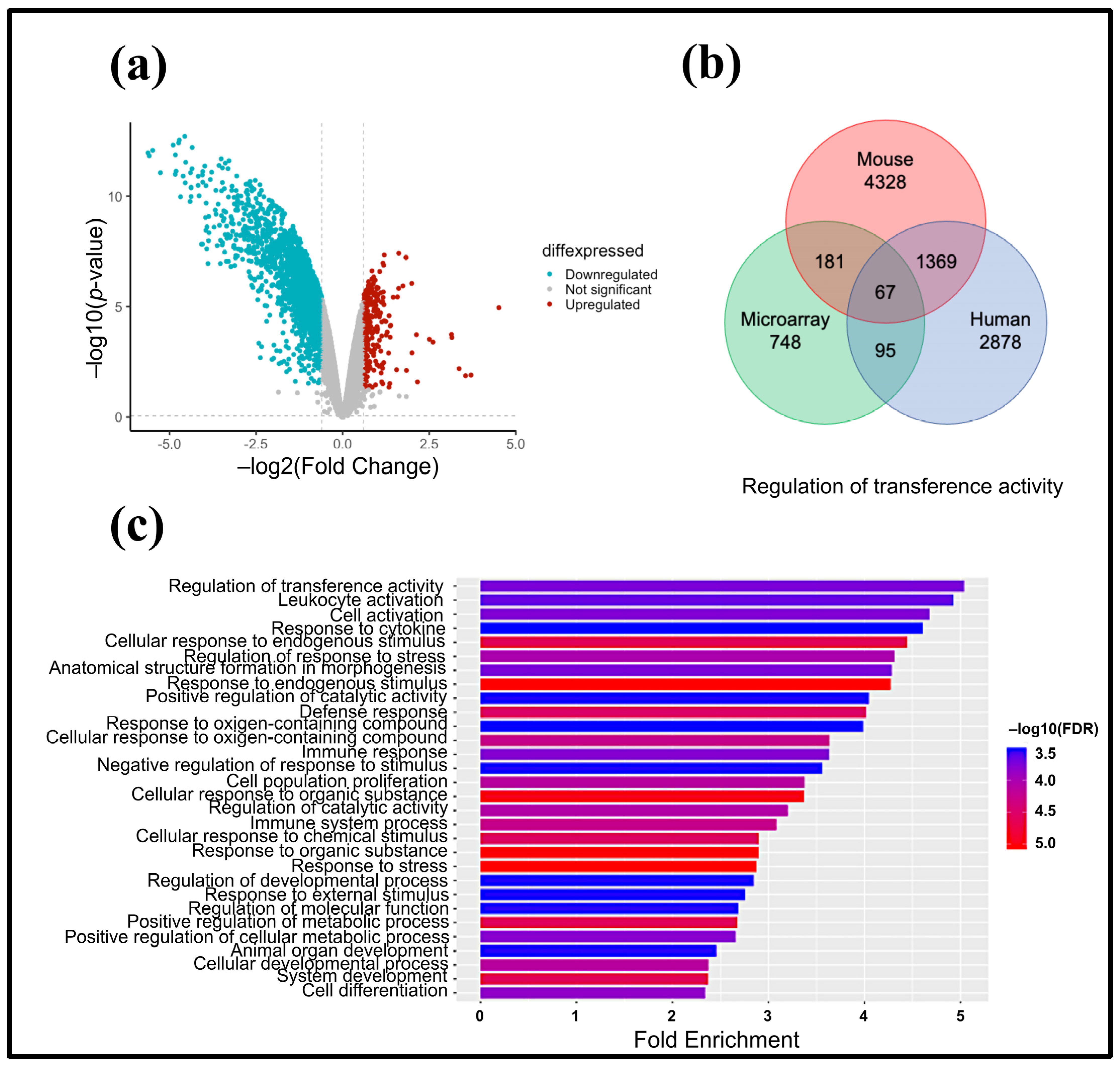 Pathogens 13 01127 g005 Pathogens 13 01127 g005