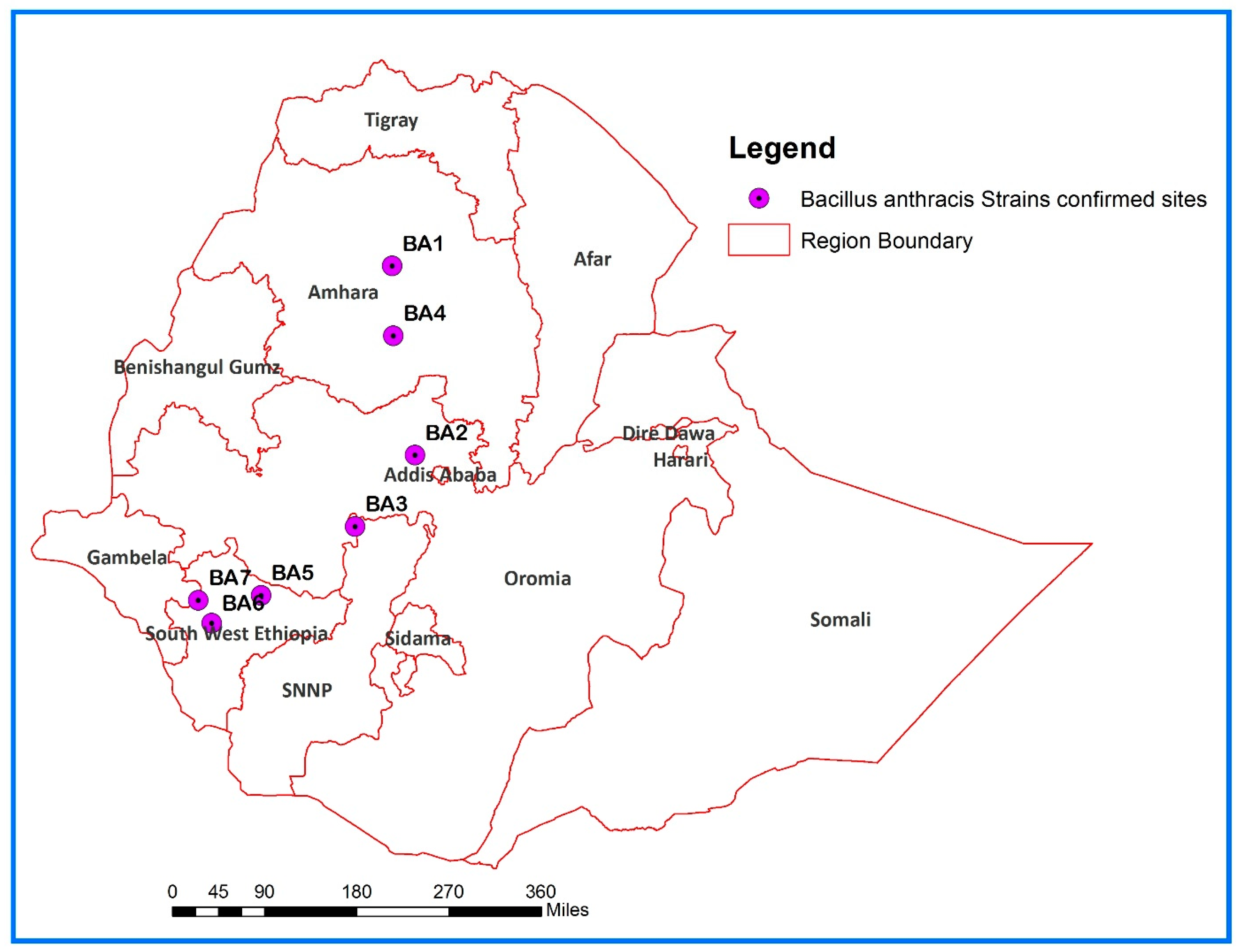 Pathogens 14 00039 g001