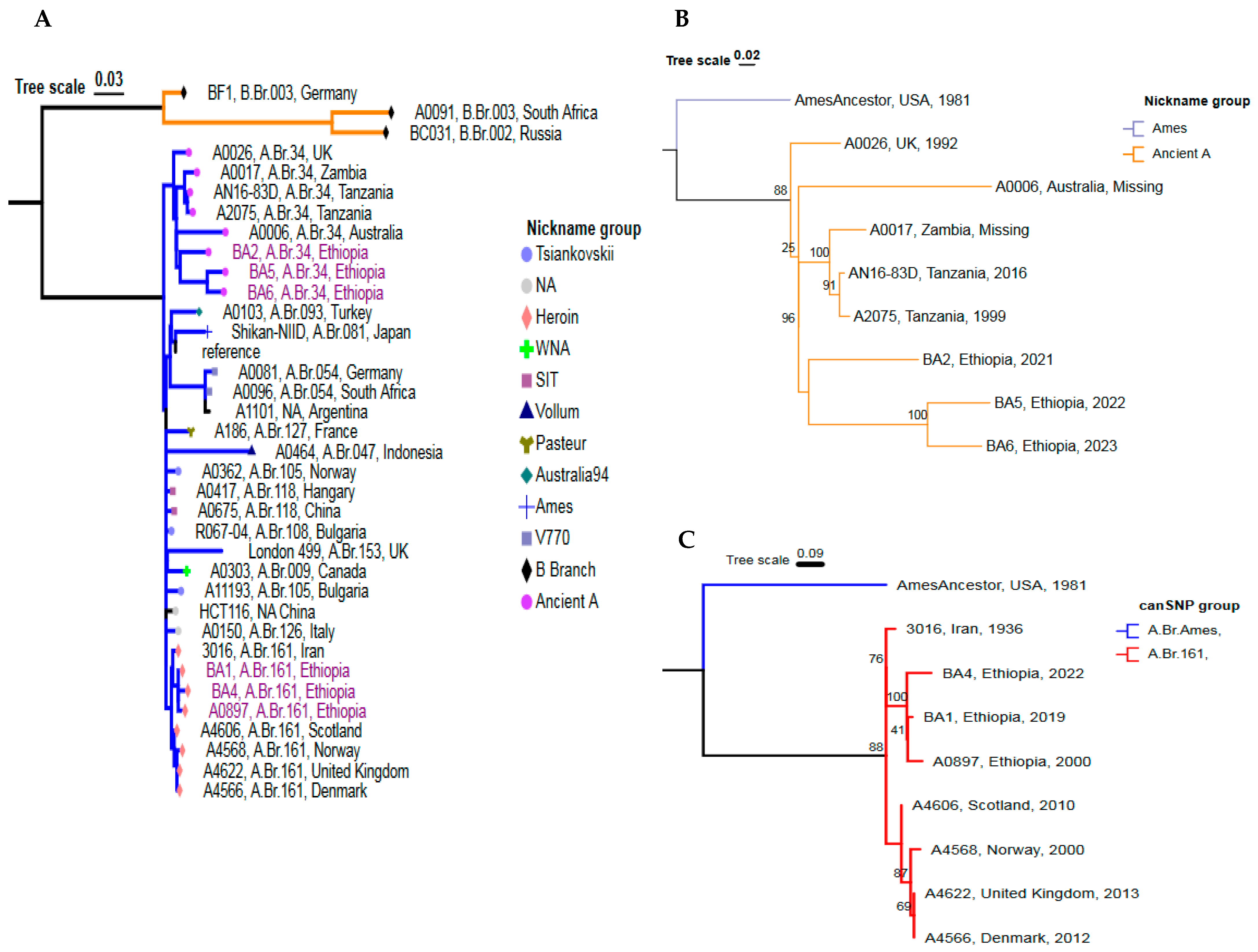 Pathogens 14 00039 g004