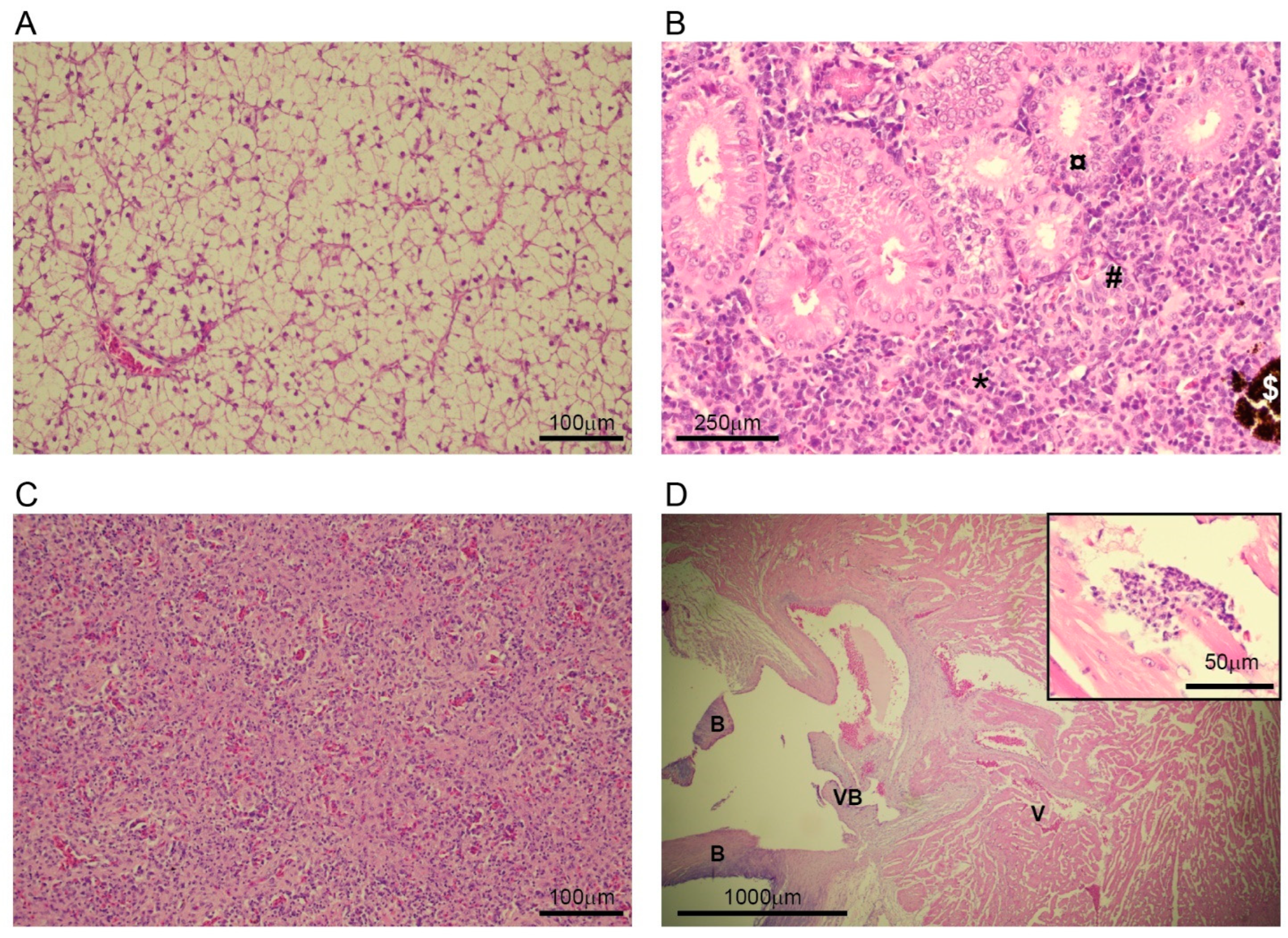 Pathogens 14 00045 g003