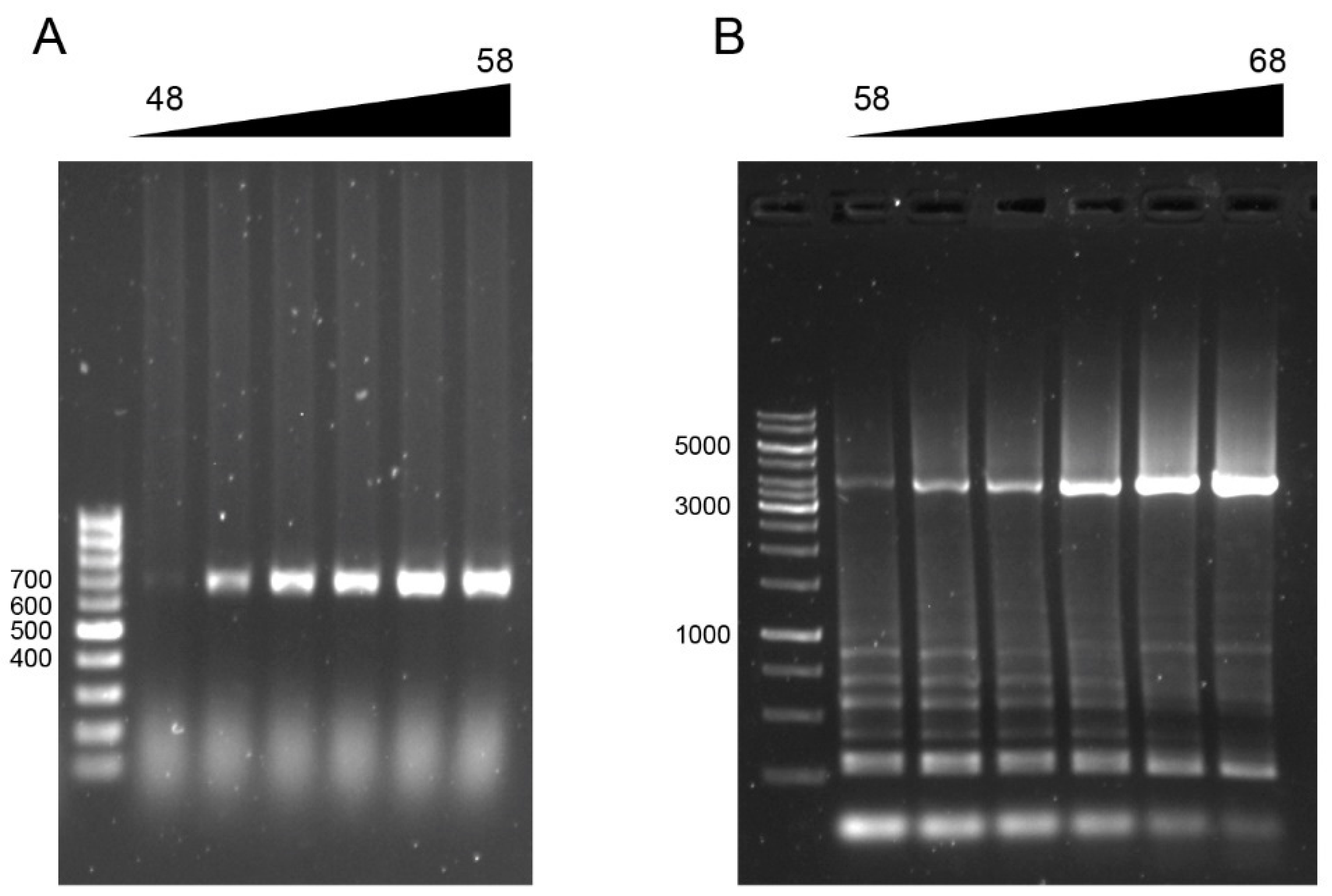 Pathogens 14 00045 g005