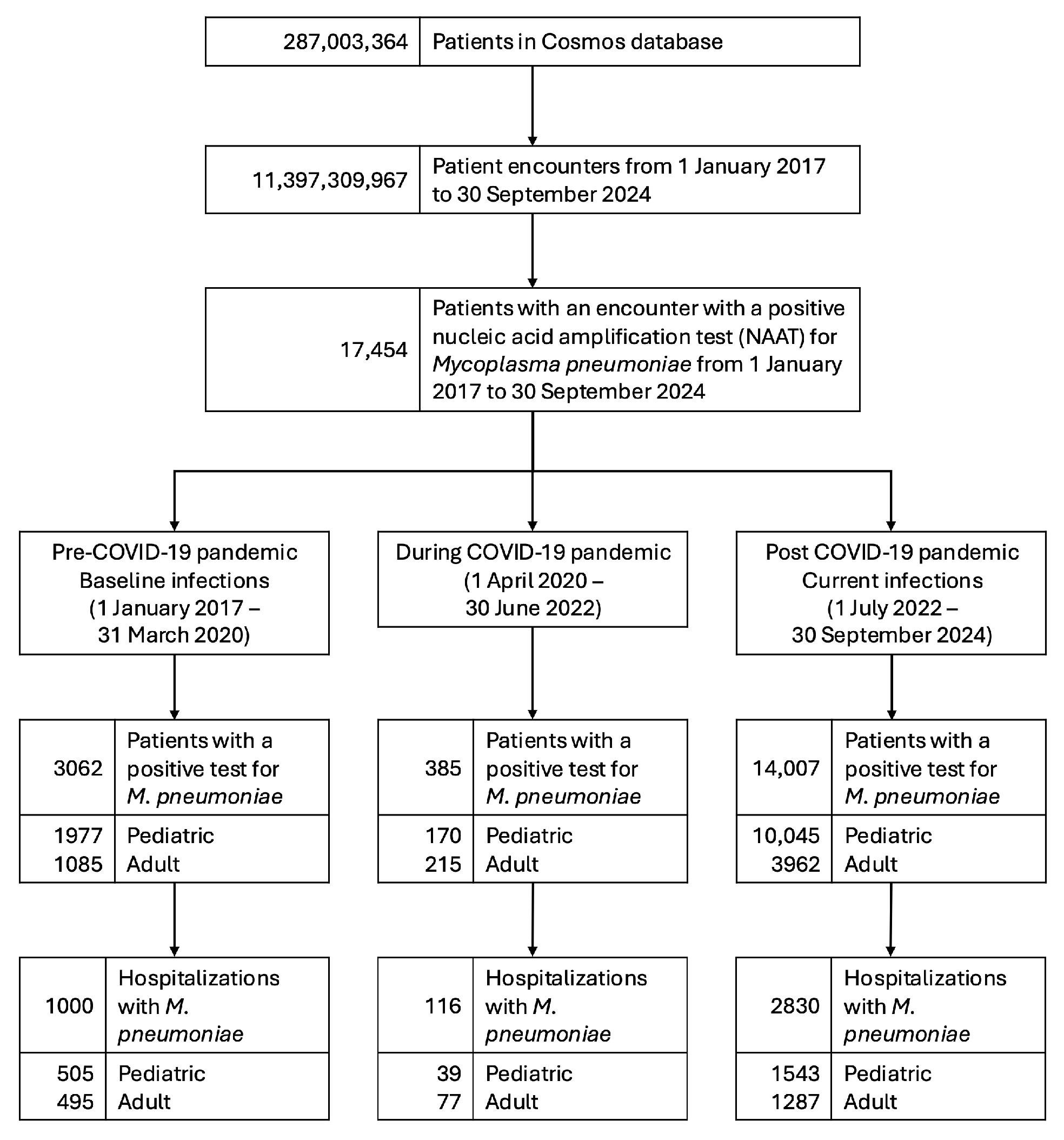 Pathogens 14 00060 g001