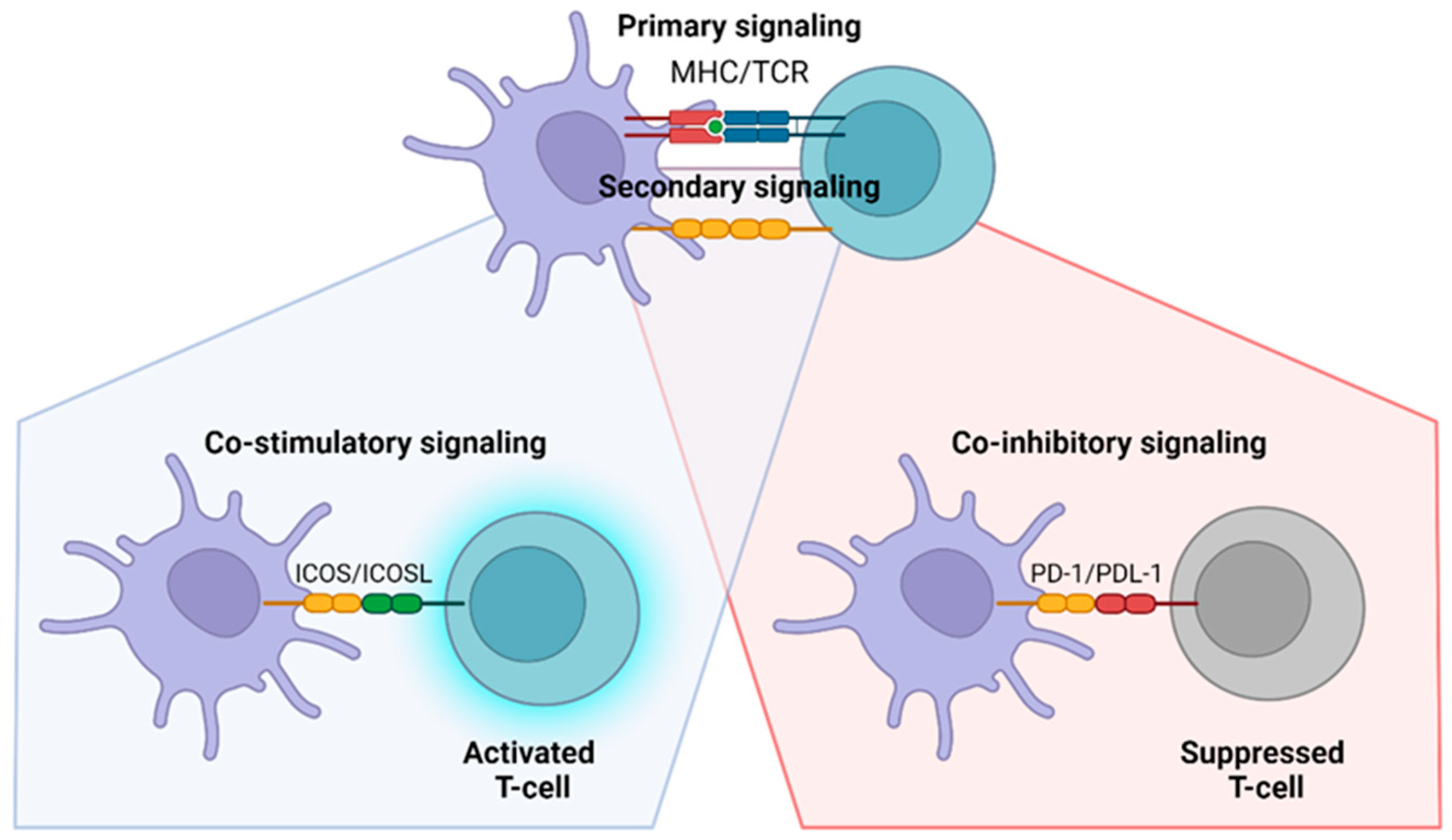 Pathogens 14 00071 g004