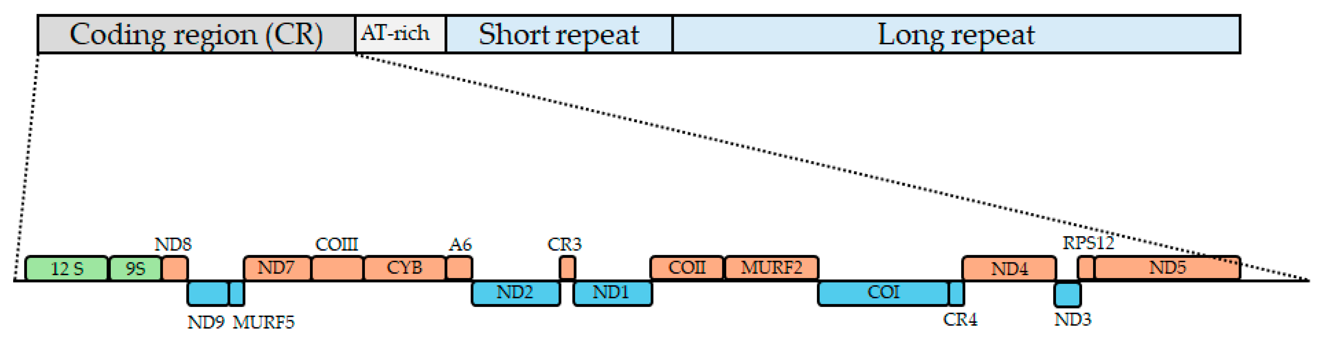 Pathogens 14 00073 g001