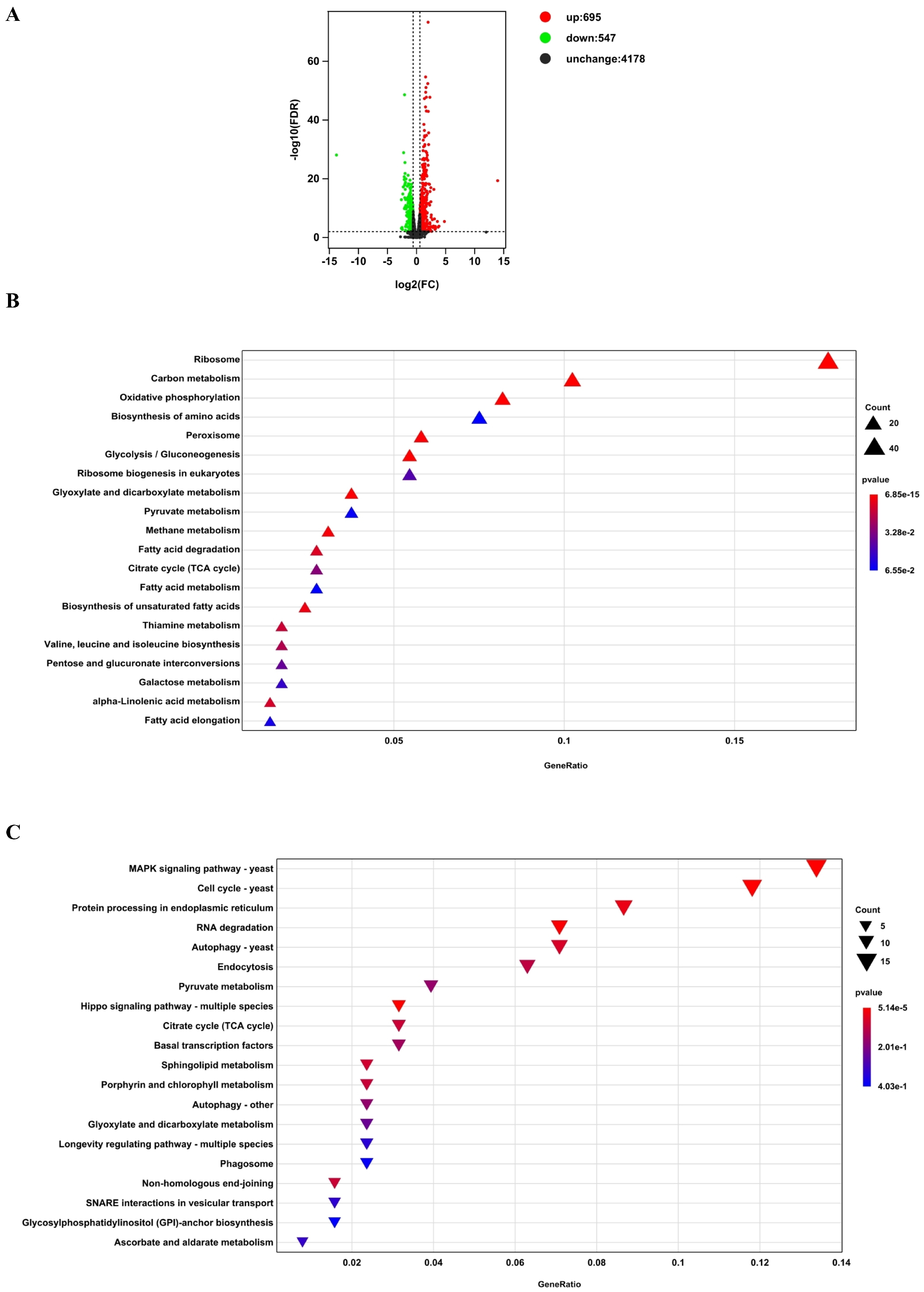 Pathogens 14 00095 g001