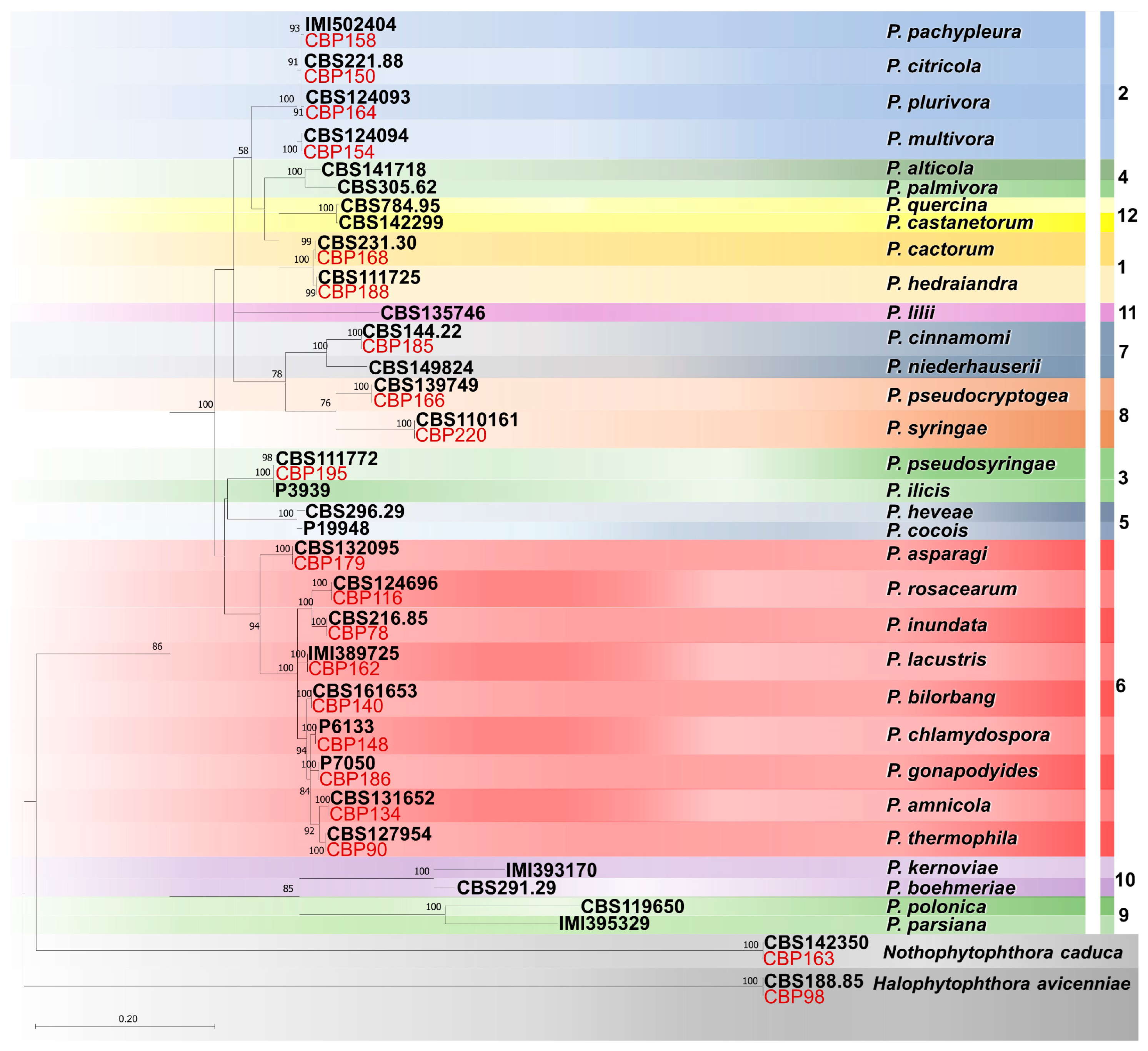 Pathogens 14 00103 g005