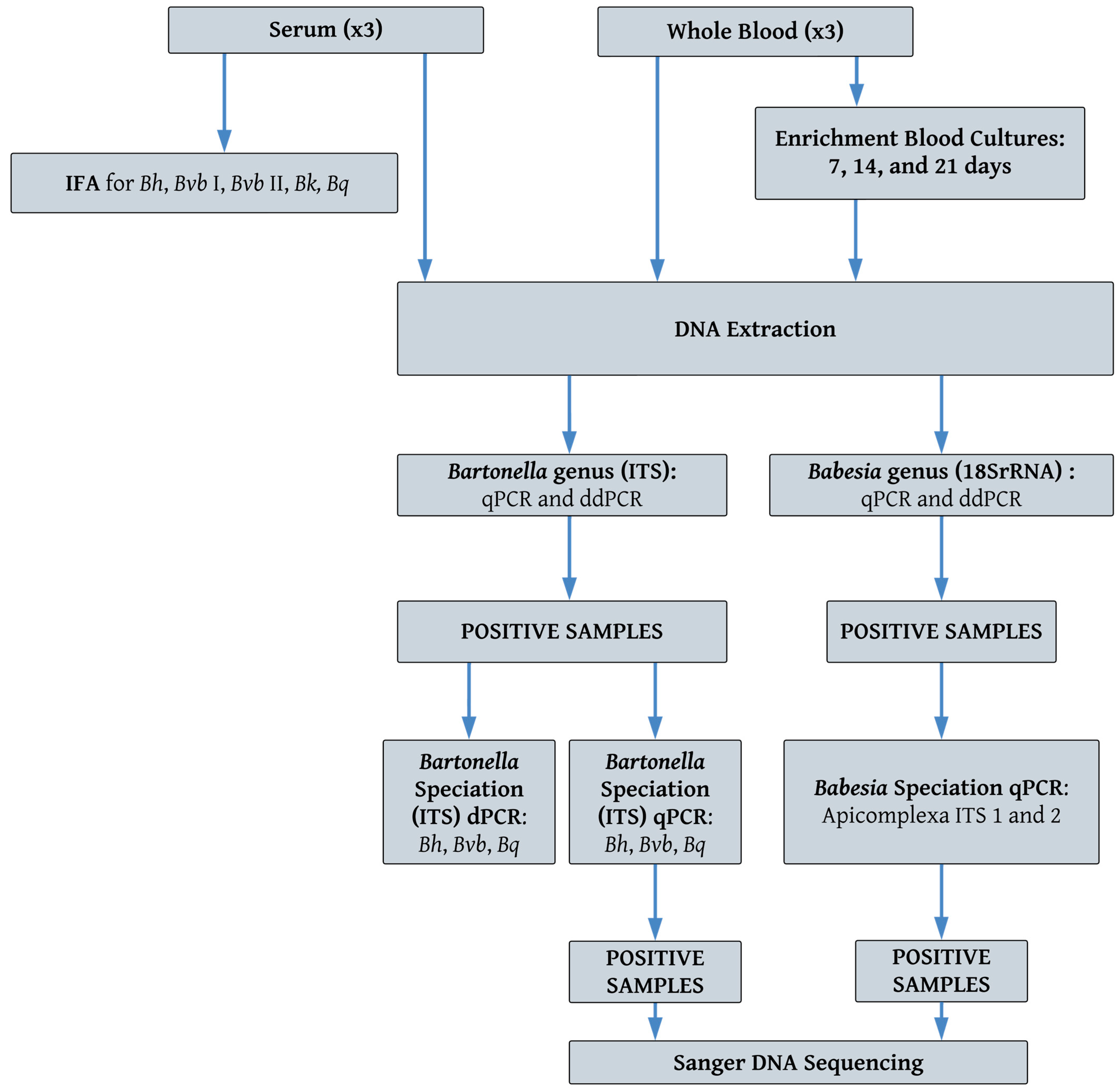 Pathogens 14 00110 g001