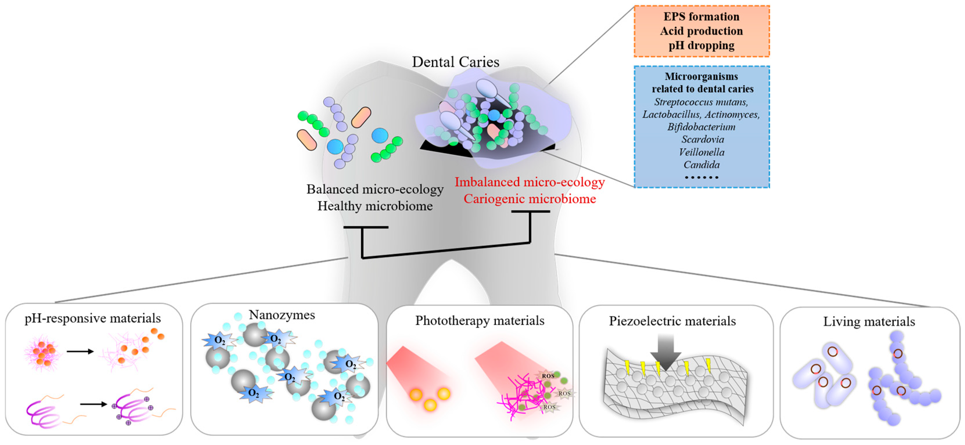 Pathogens 14 00111 g001