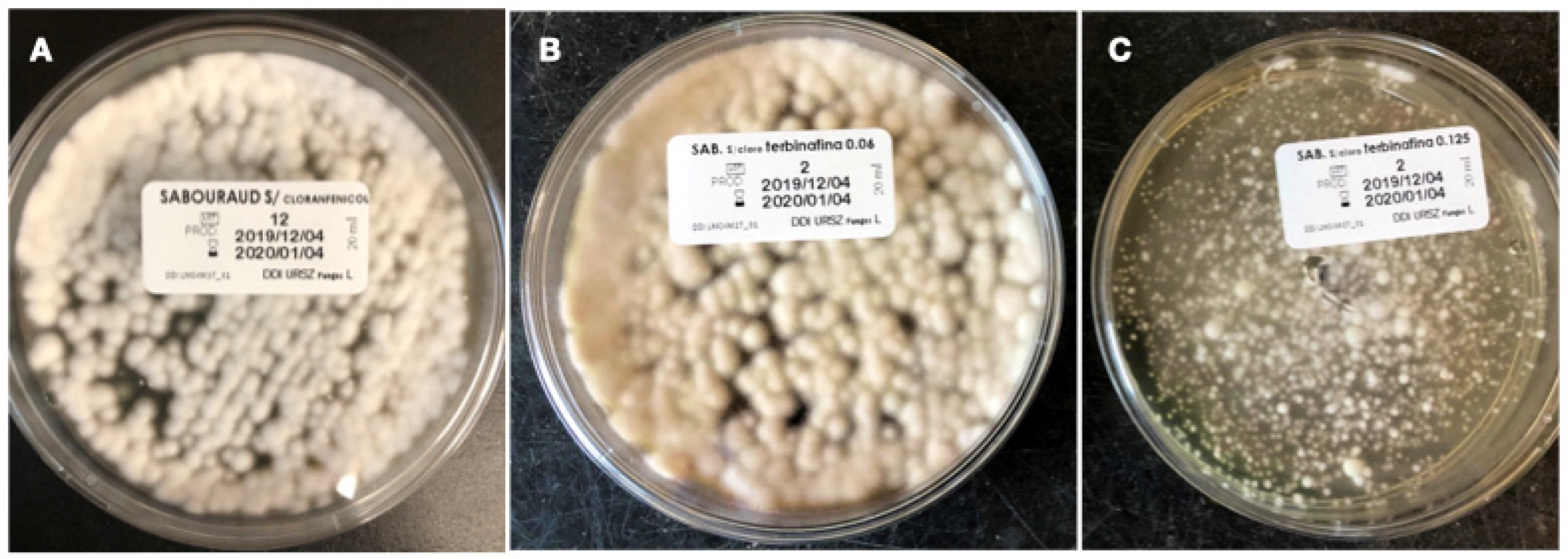 Pathogens 14 00115 g001