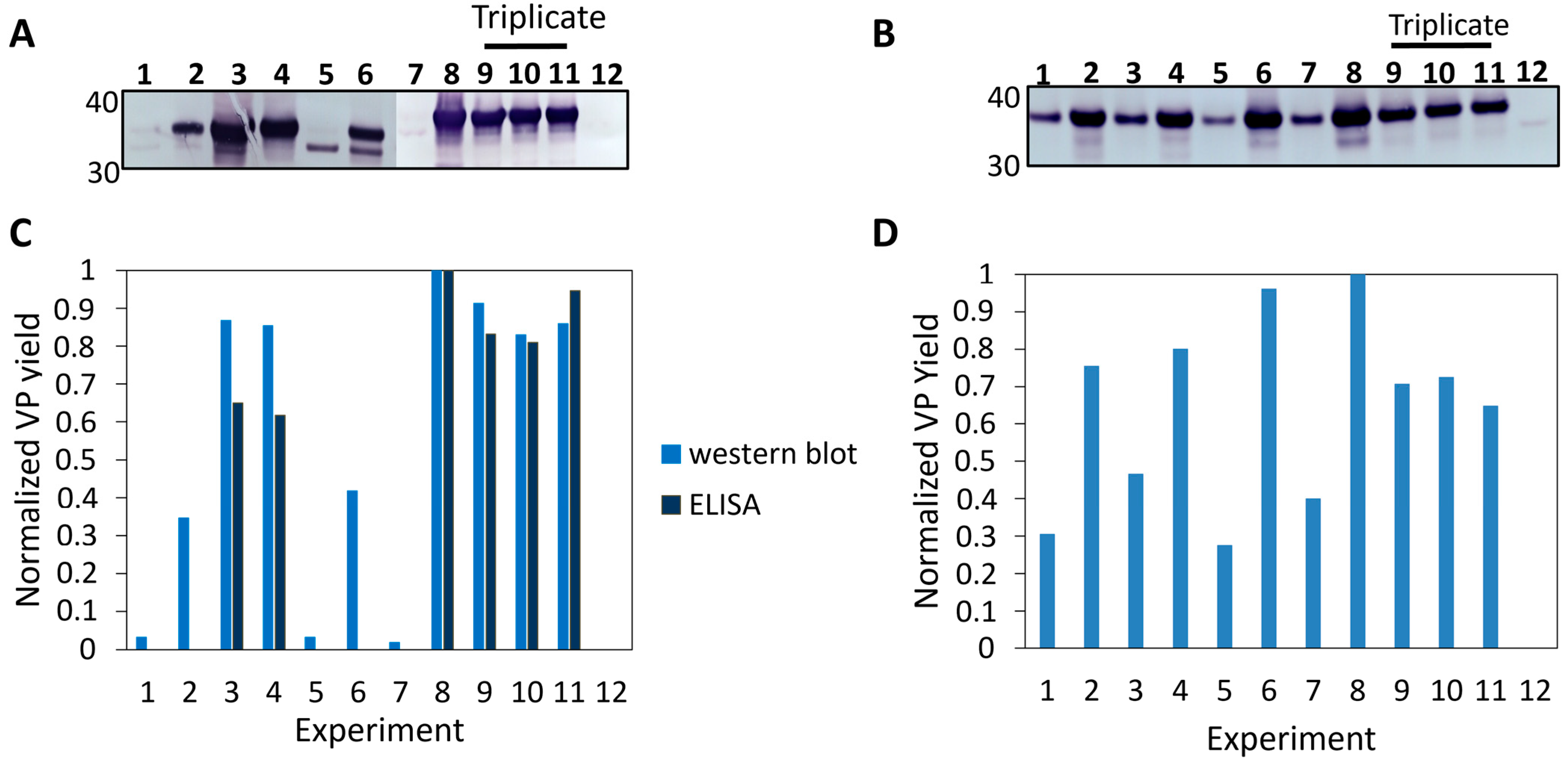 Pathogens 14 00118 g002 Pathogens 14 00118 g002