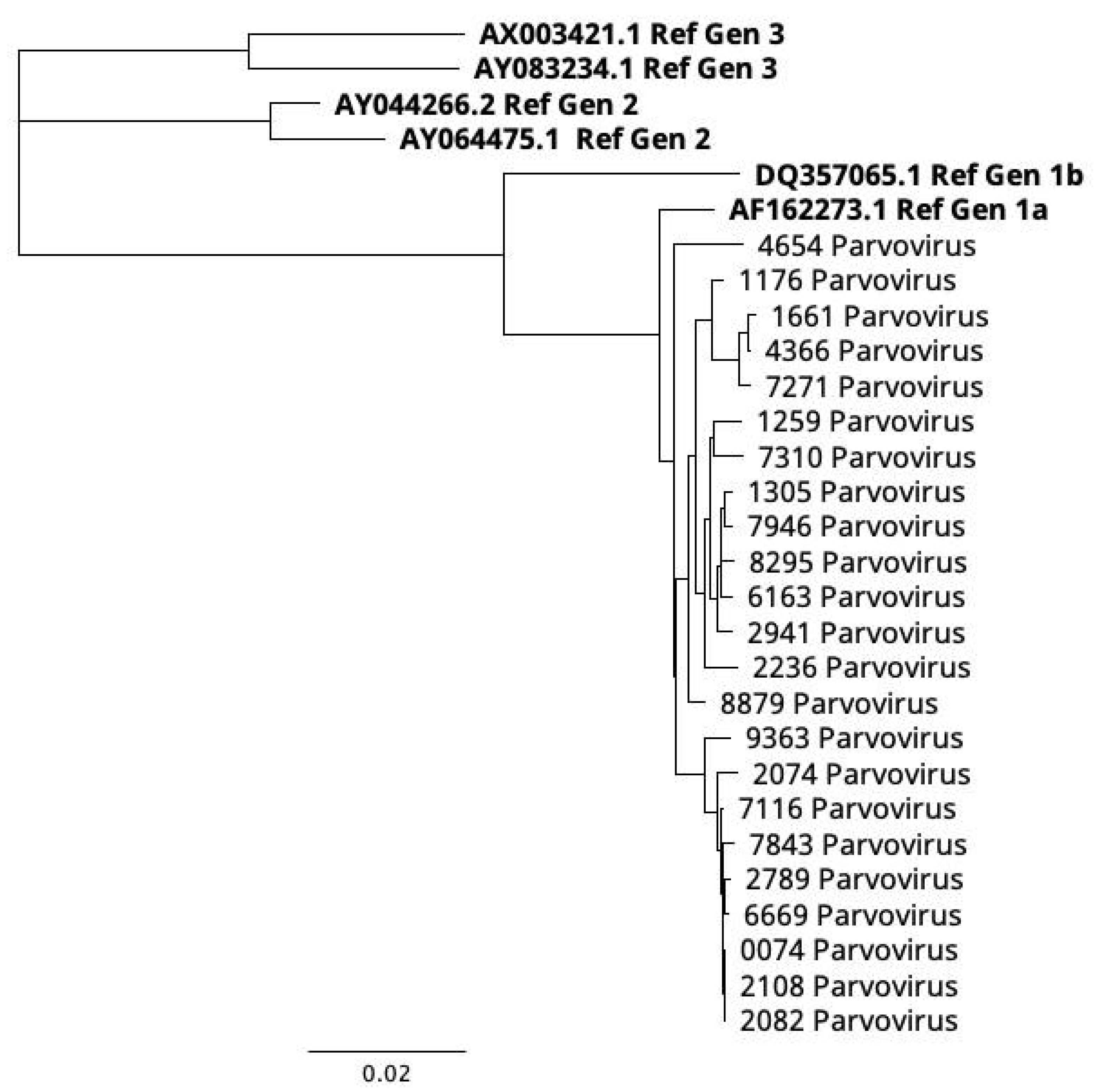 Pathogens 14 00121 g003 Pathogens 14 00121 g003