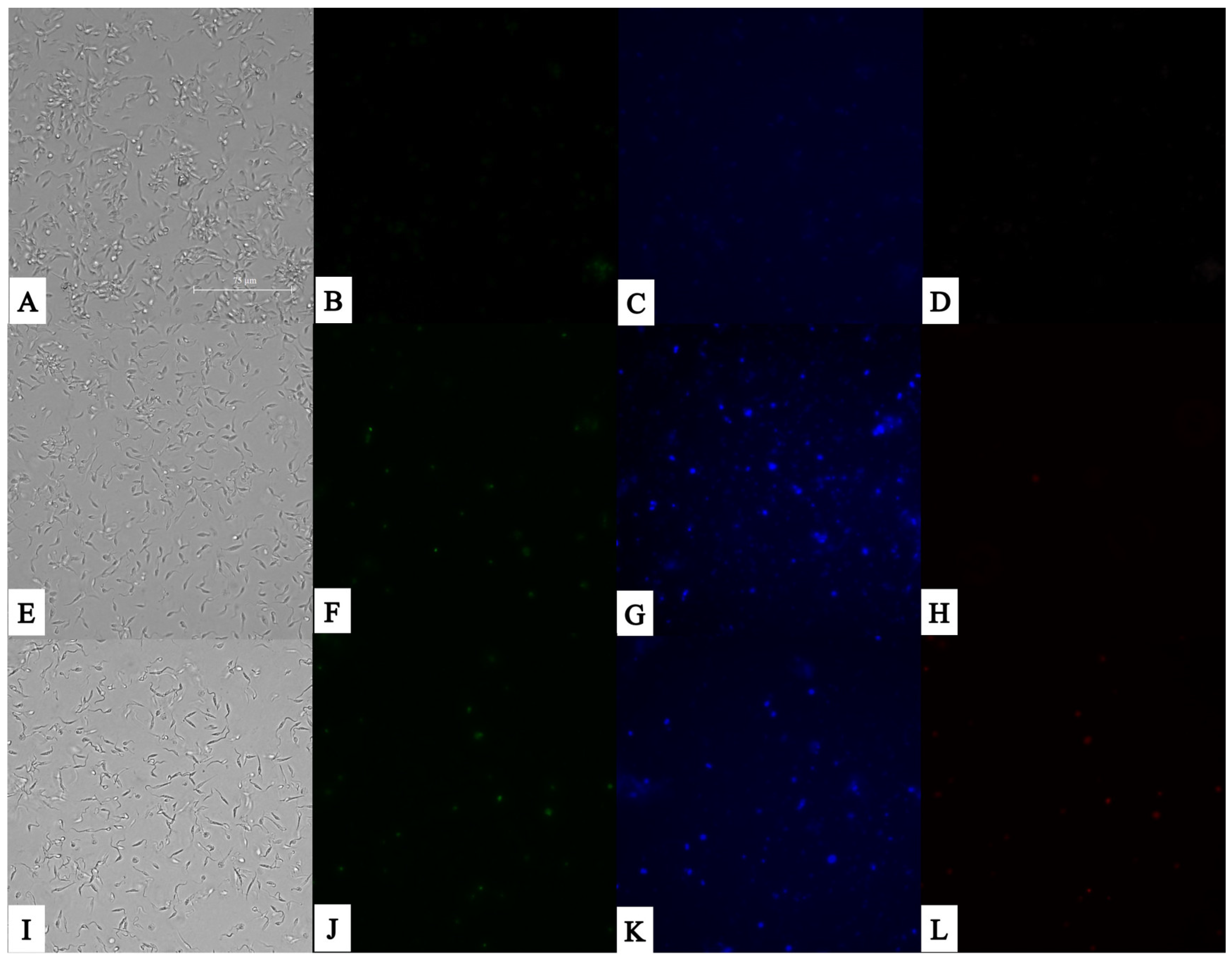 Pathogens 14 00127 g001