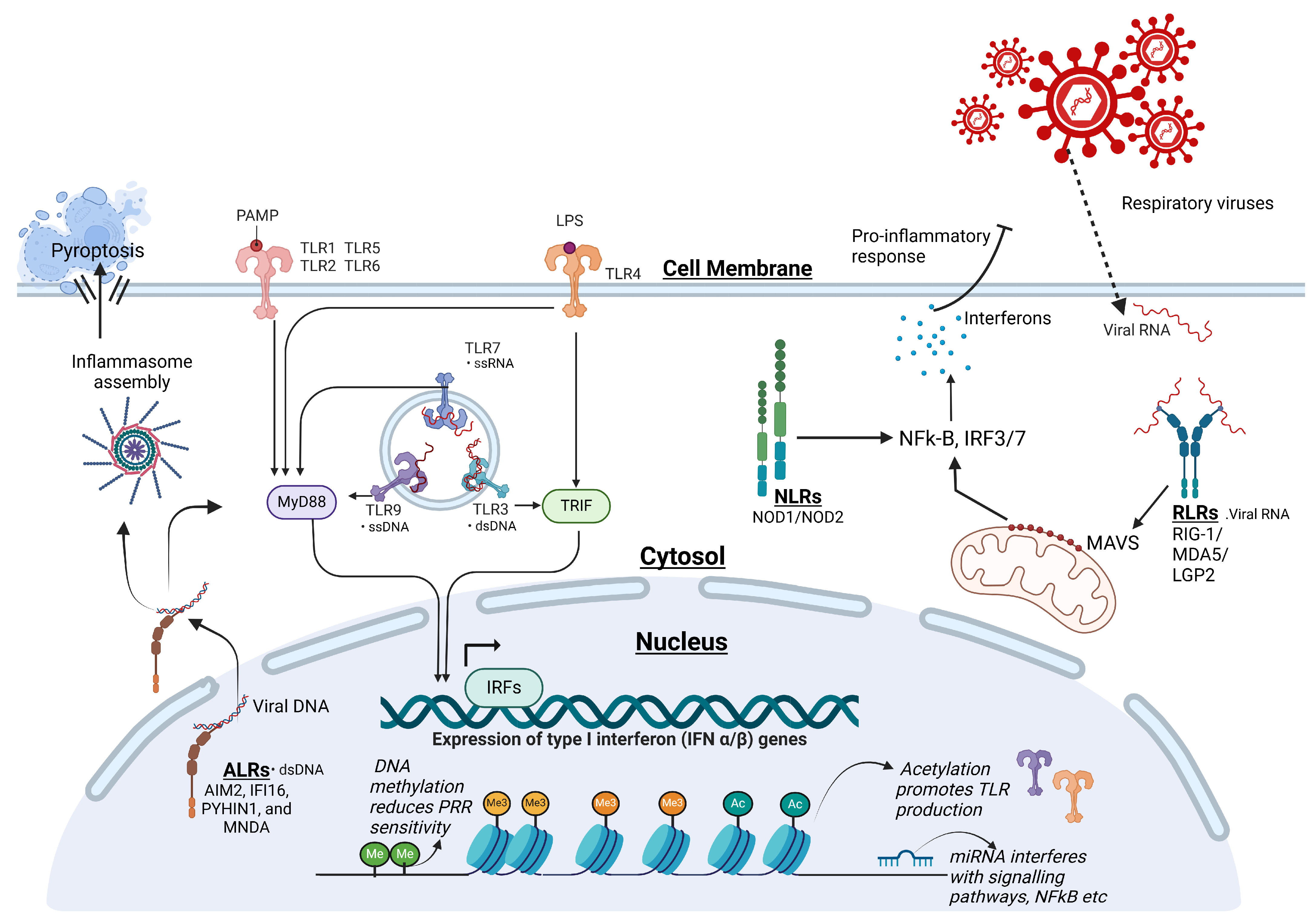Pathogens 14 00129 g001