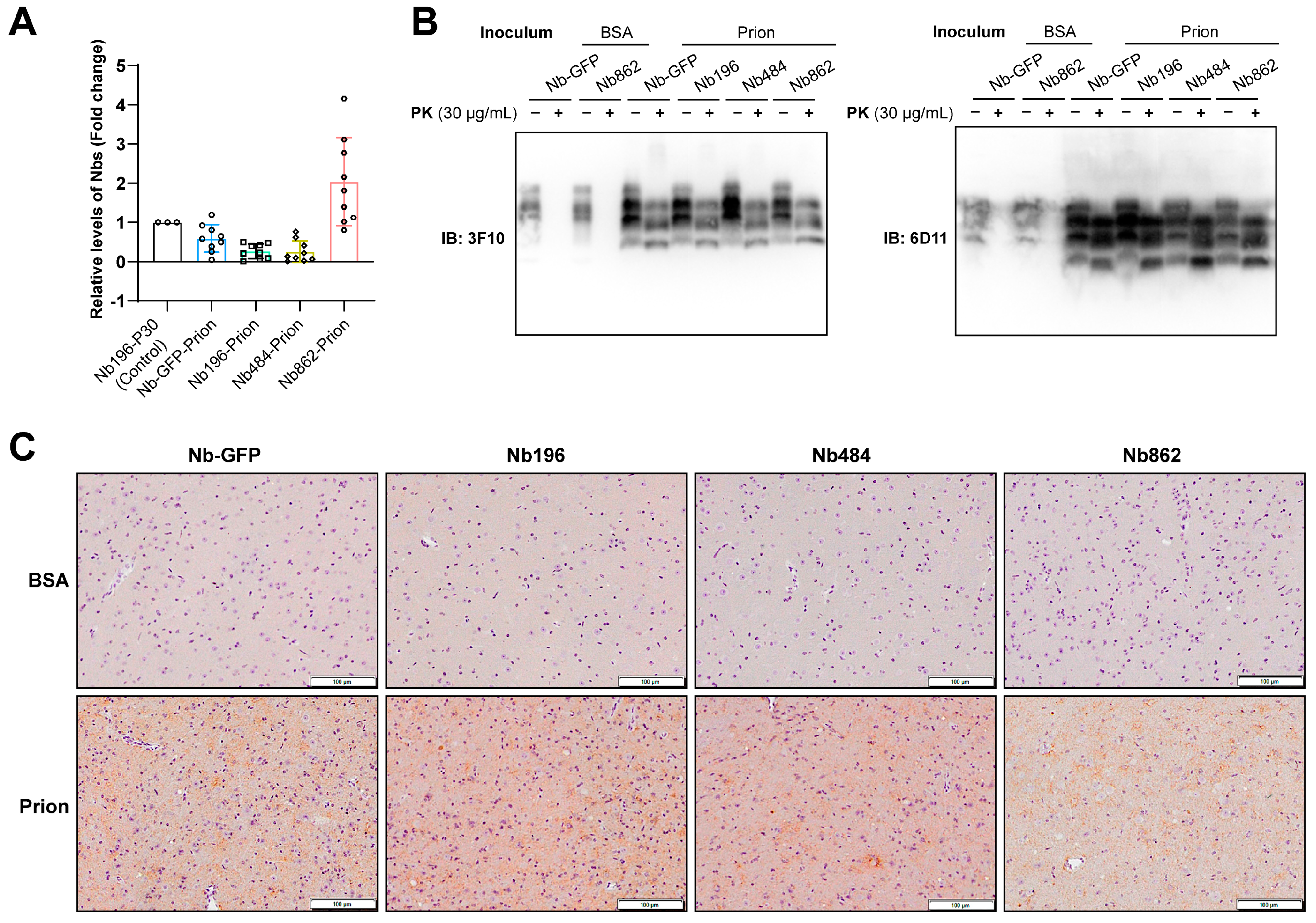 Pathogens 14 00131 g004