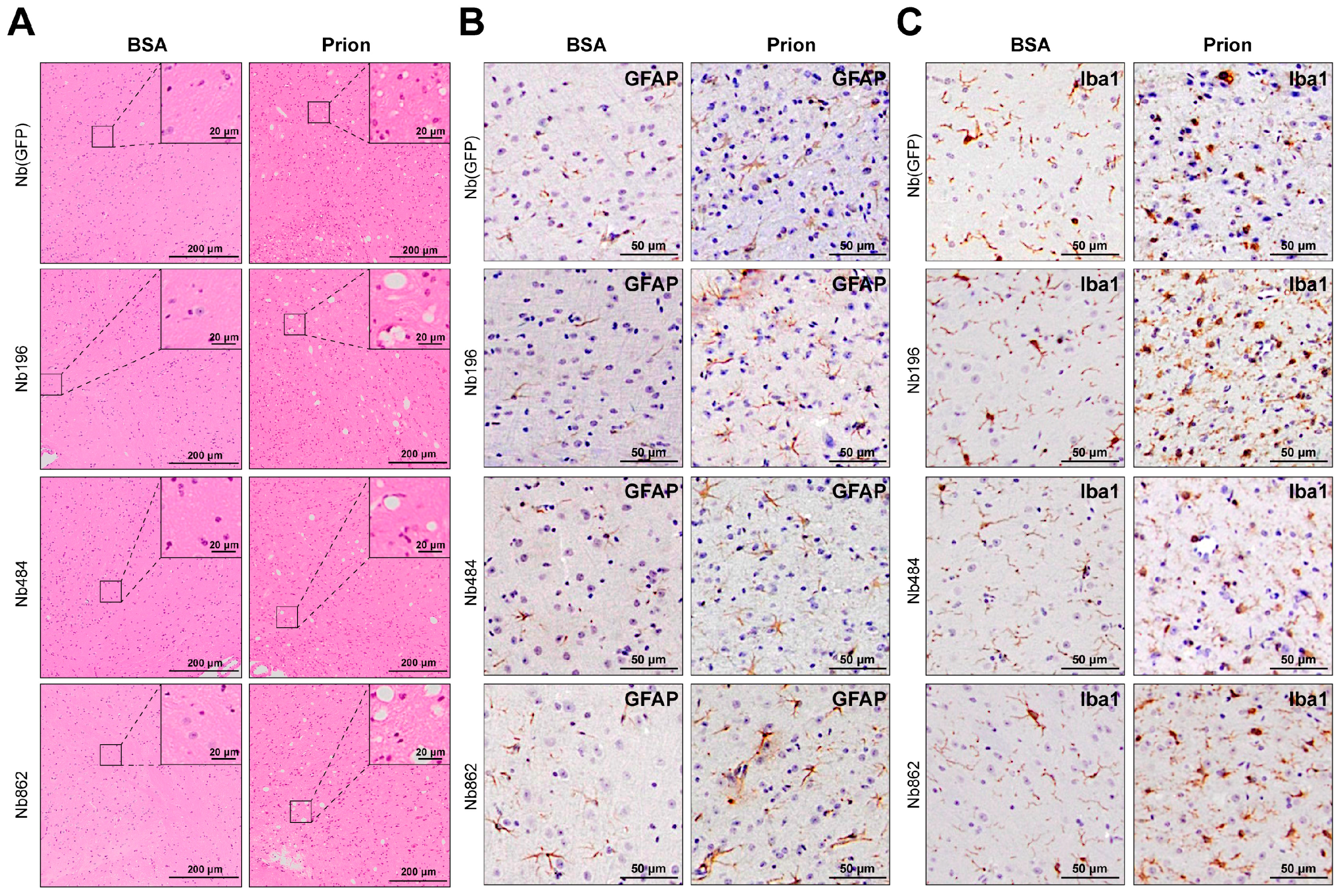 Pathogens 14 00131 g005