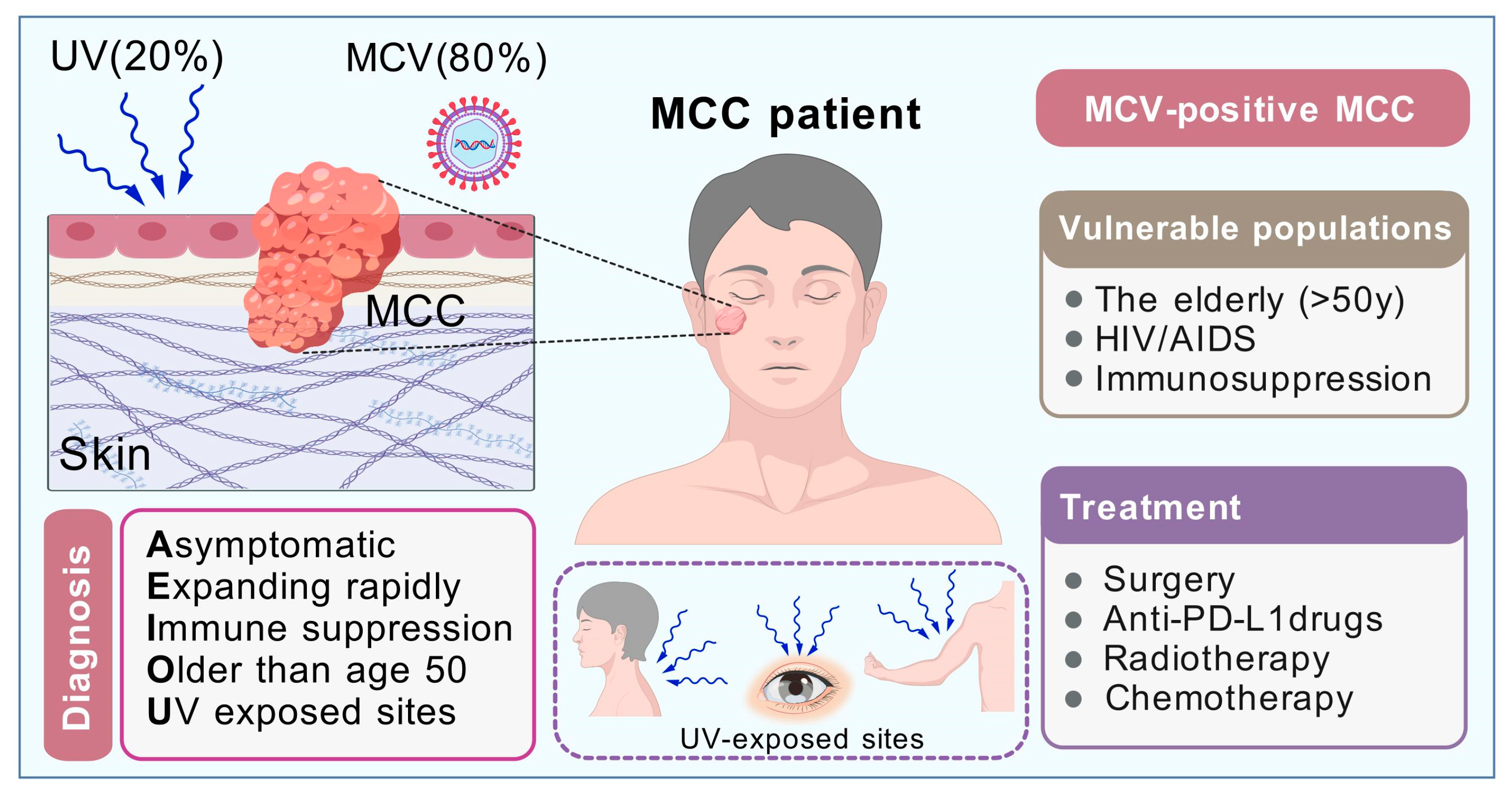 Pathogens 14 00134 g003