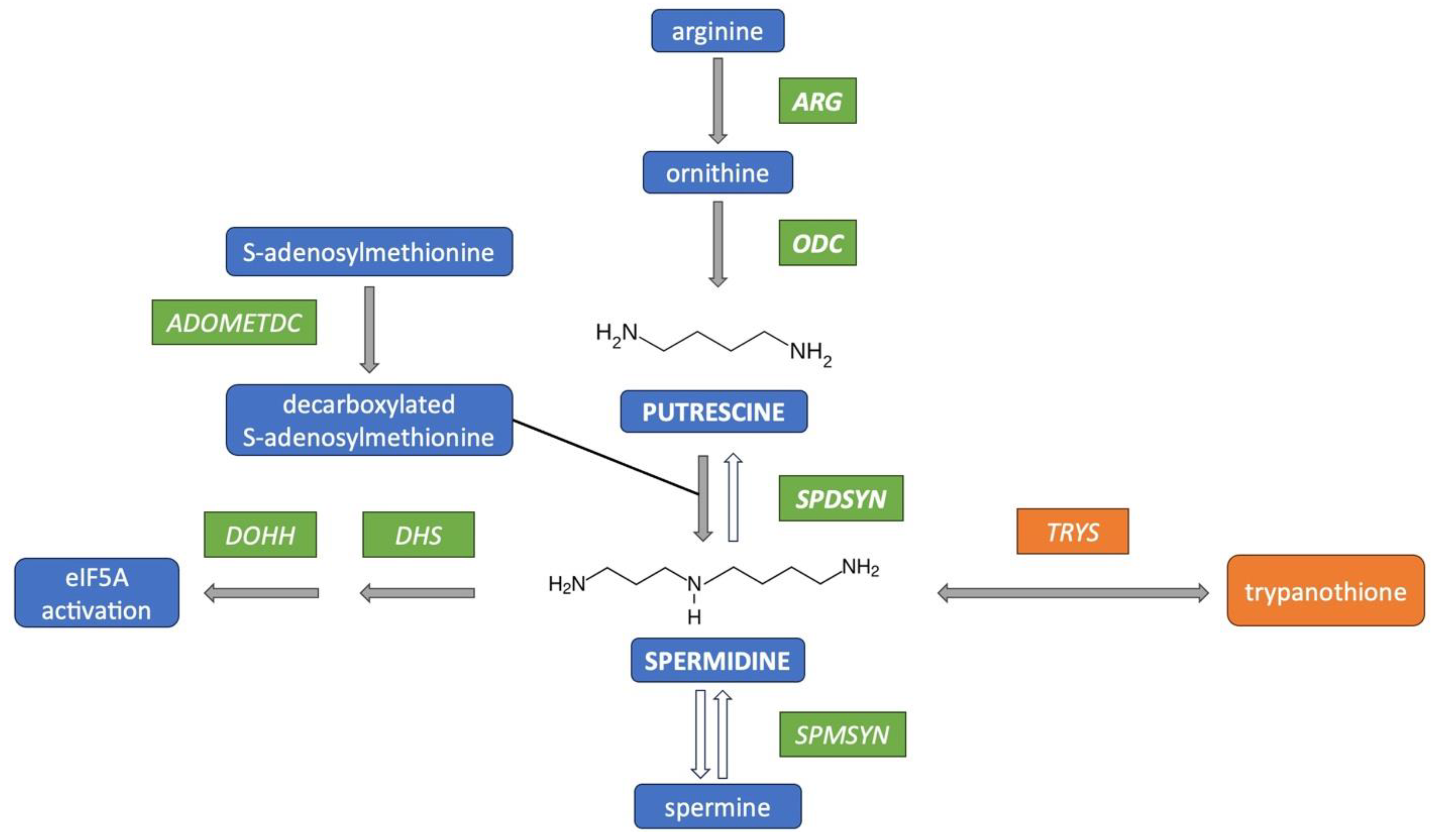 Pathogens 14 00137 g001