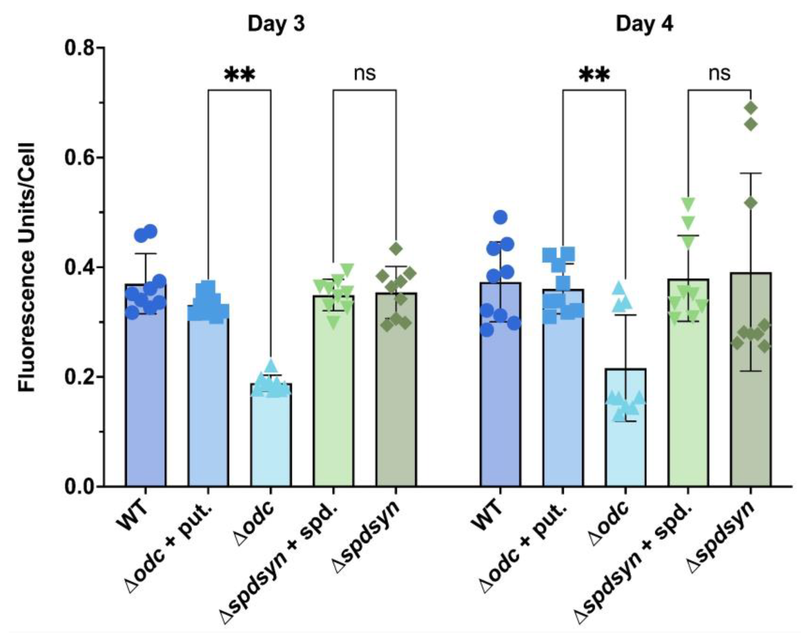Pathogens 14 00137 g004