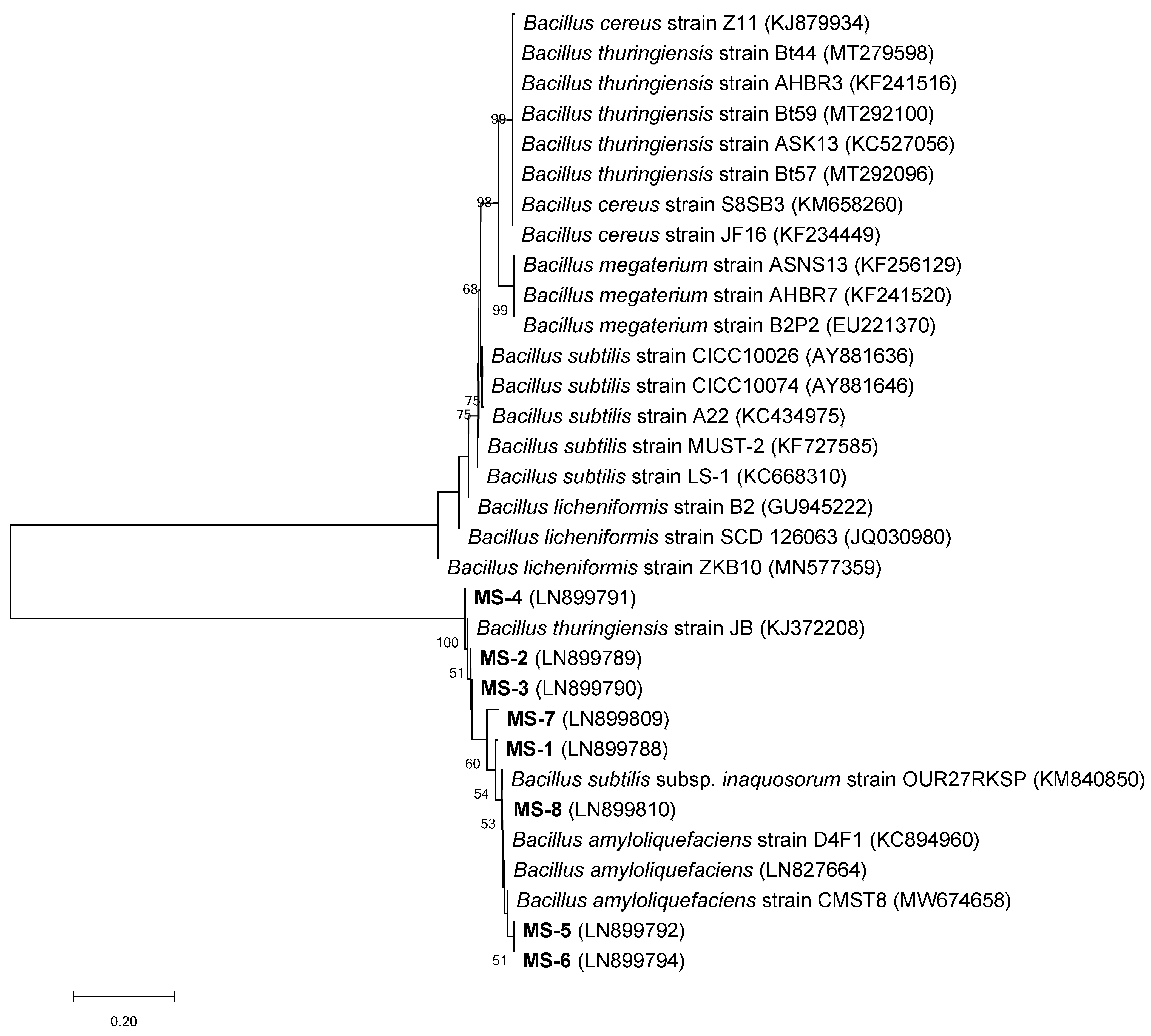 Pathogens 14 00138 g002