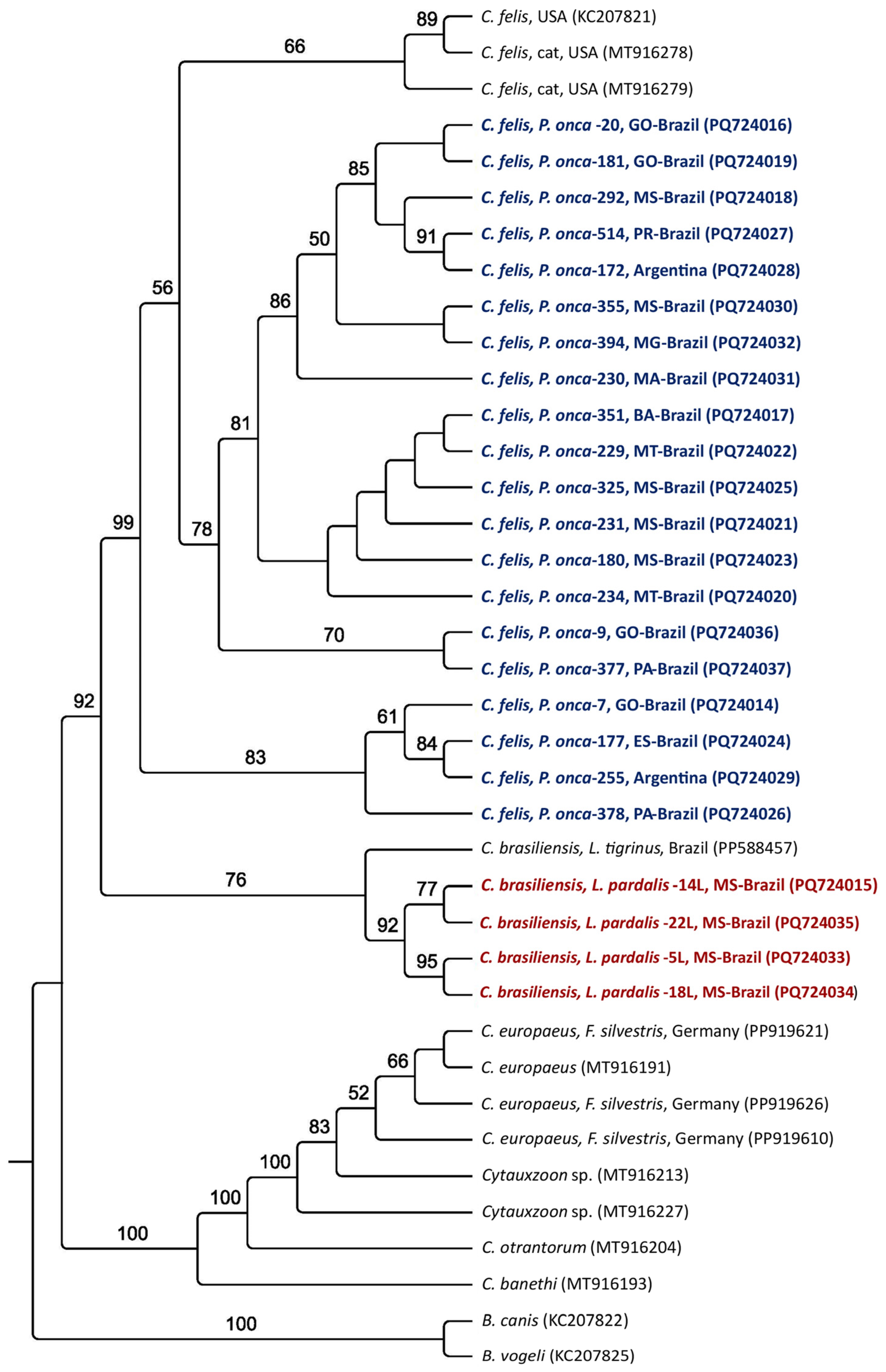 Pathogens 14 00148 g003