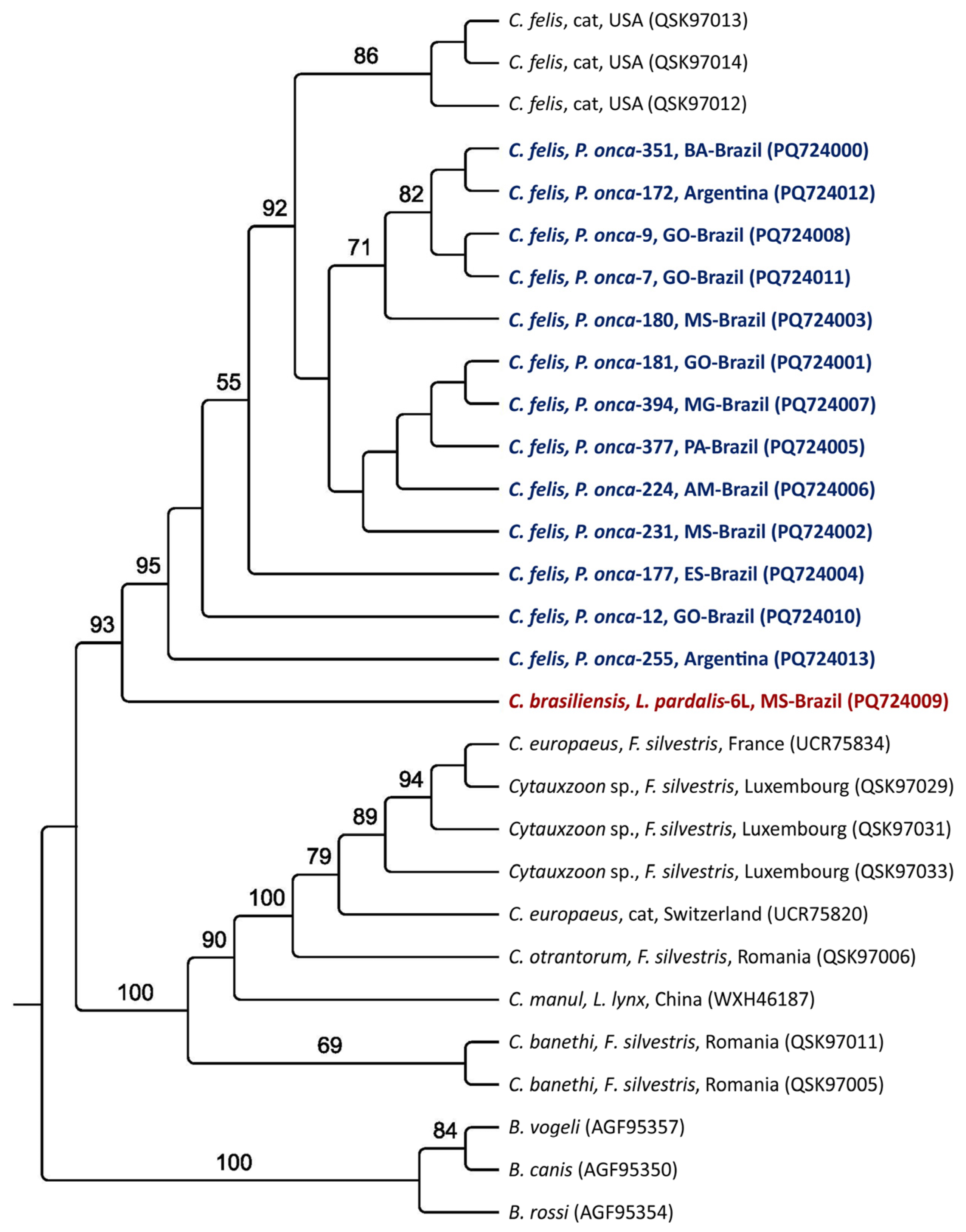 Pathogens 14 00148 g004