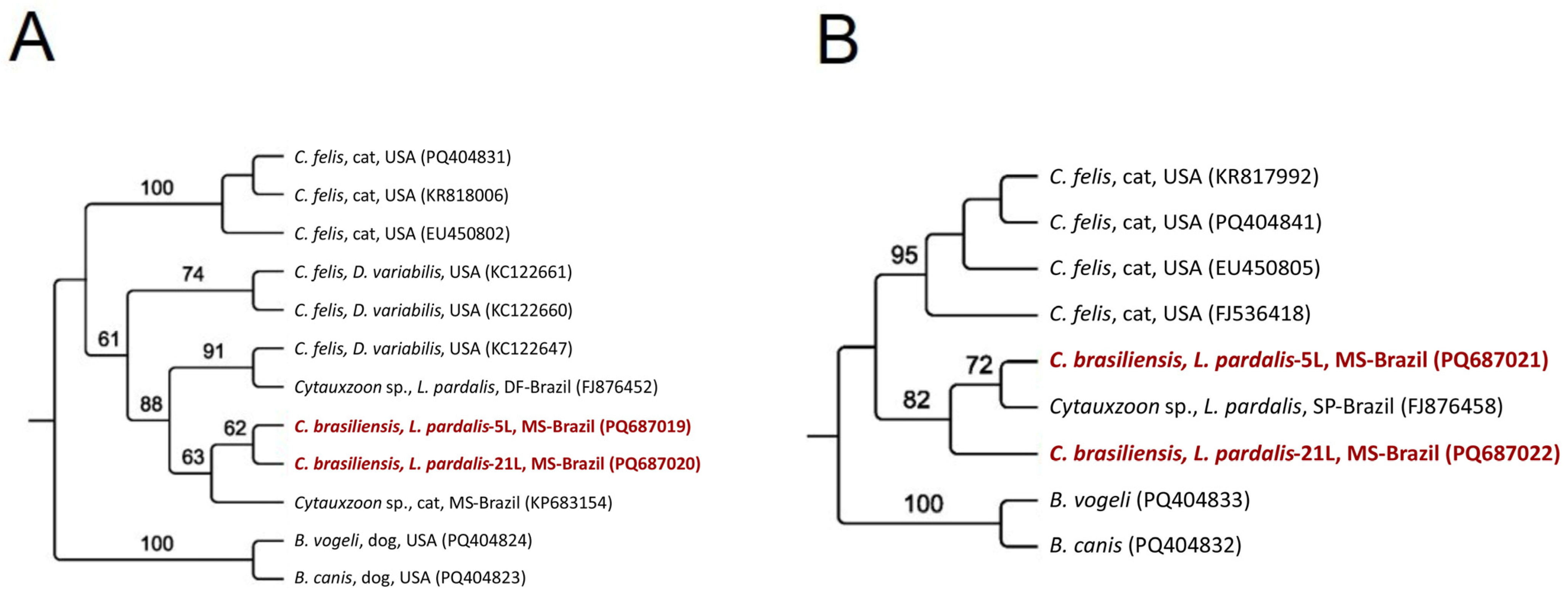 Pathogens 14 00148 g005