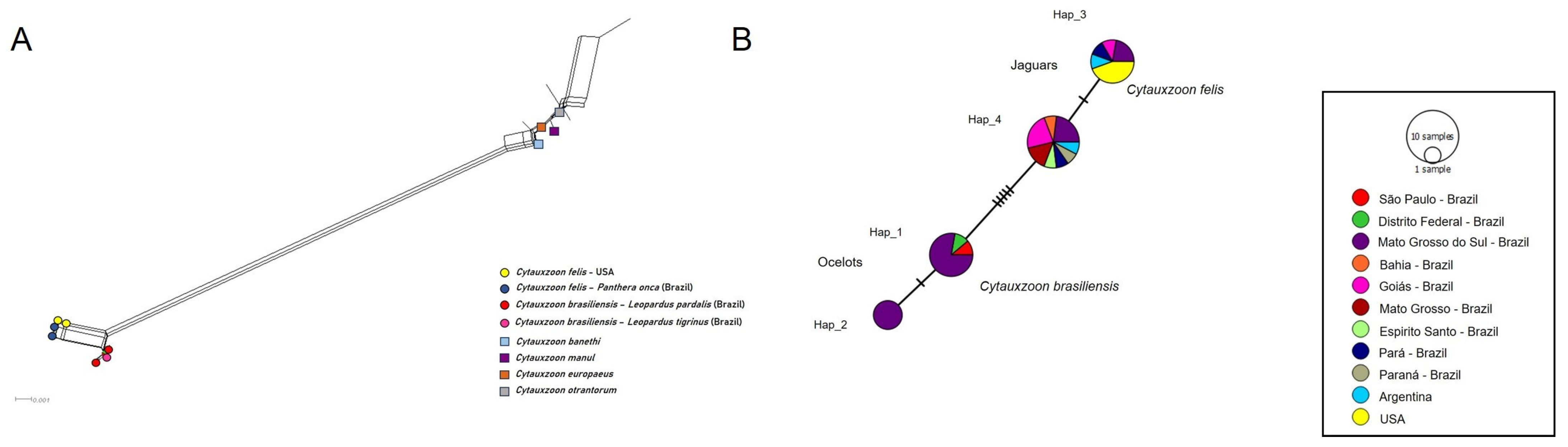 Pathogens 14 00148 g006