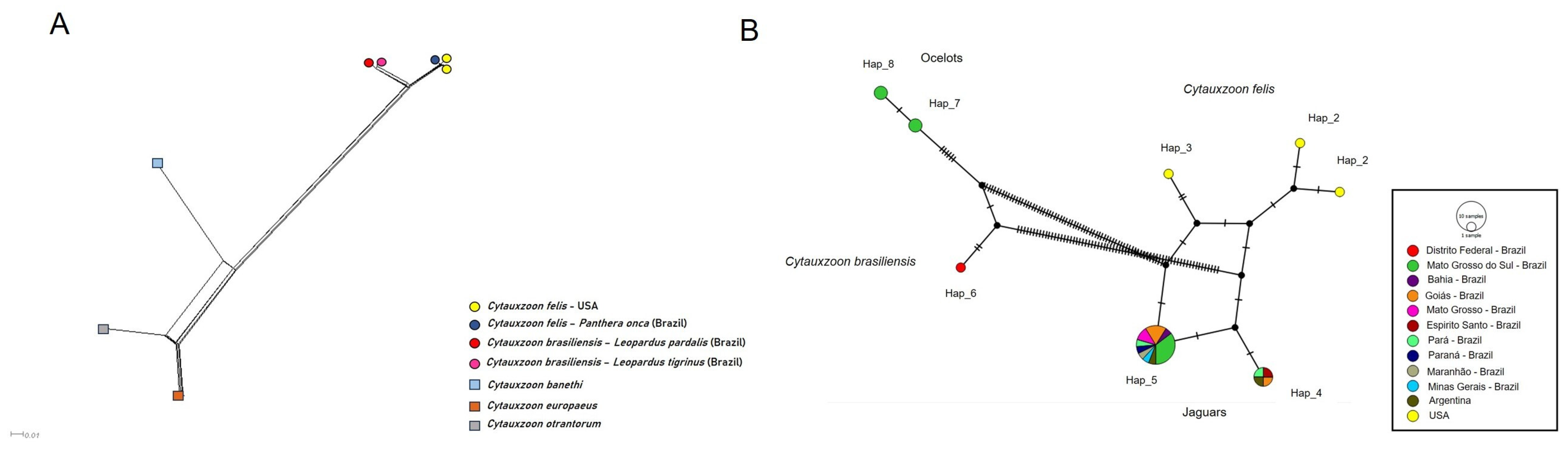 Pathogens 14 00148 g007