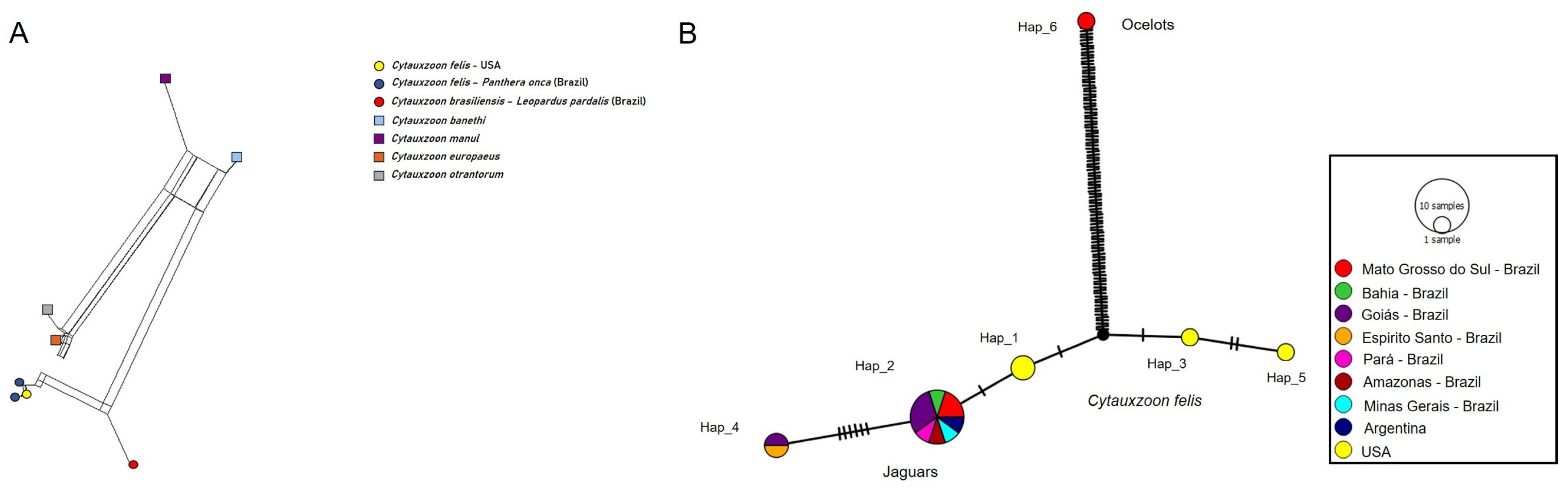 Pathogens 14 00148 g008