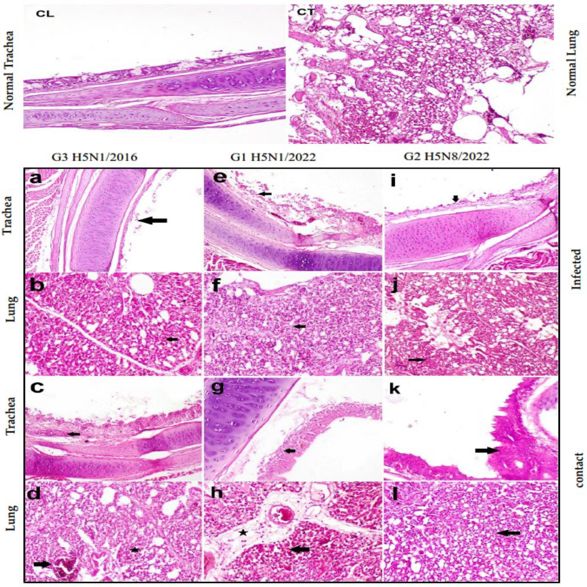 Pathogens 14 00149 g002