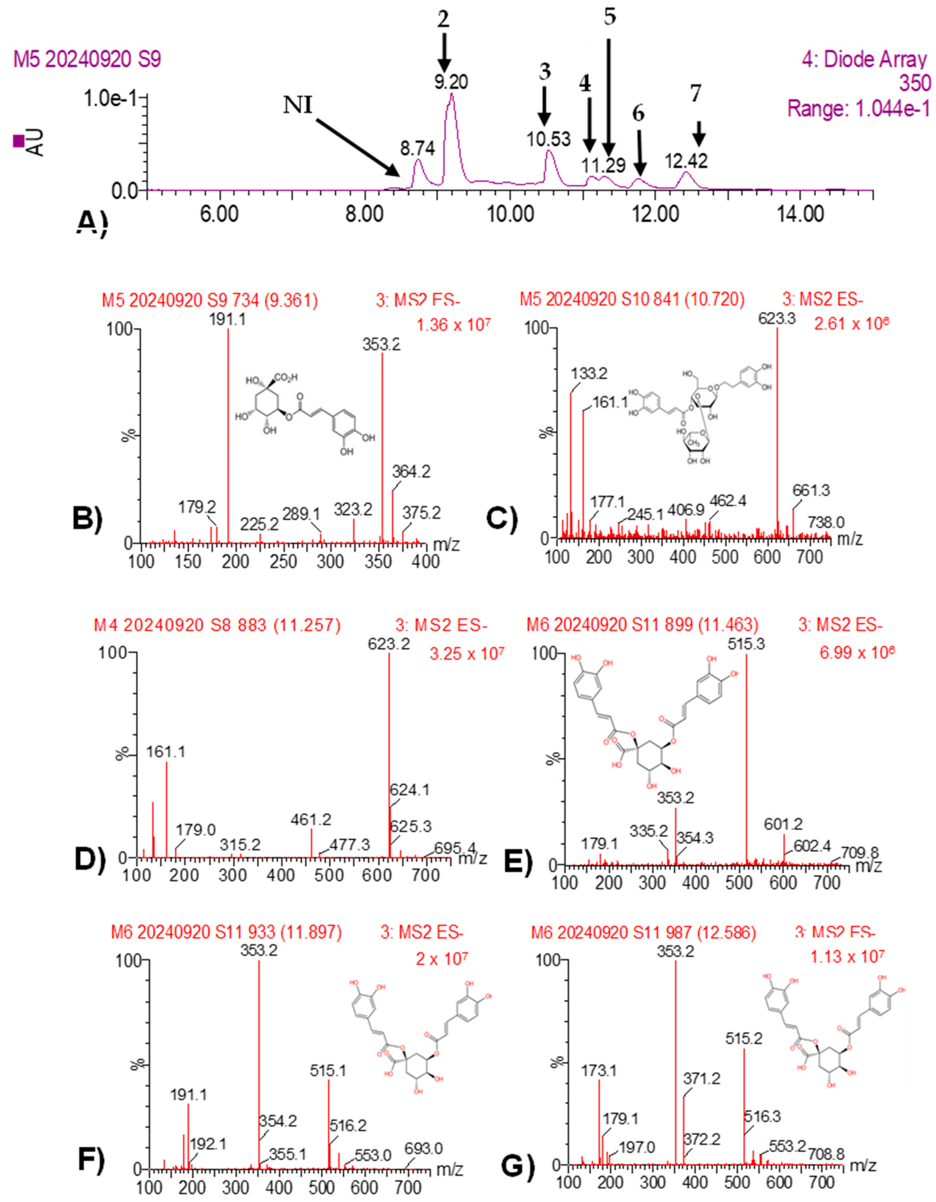 Pathogens 14 00162 g008