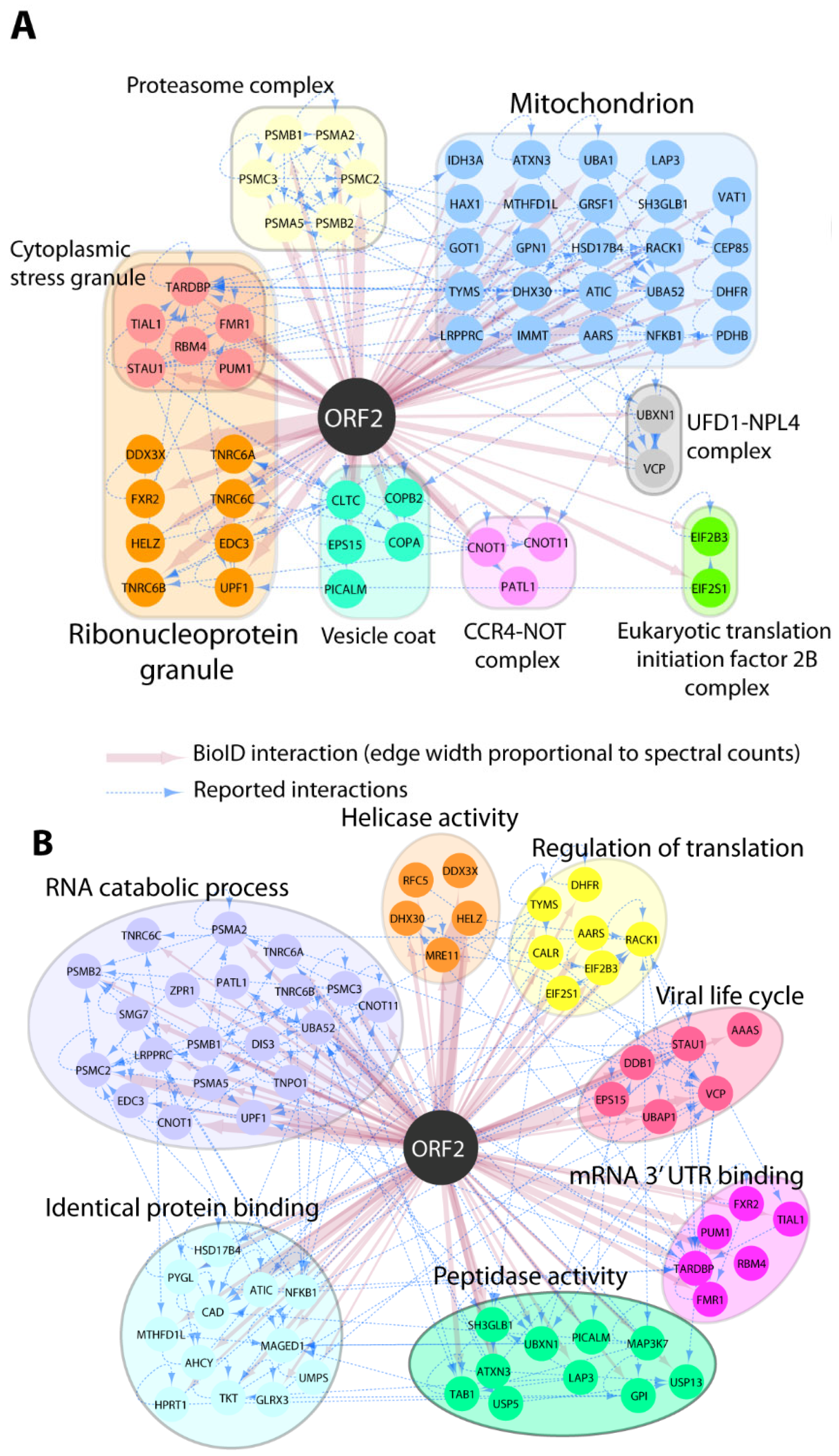 Pathogens 14 00177 g001