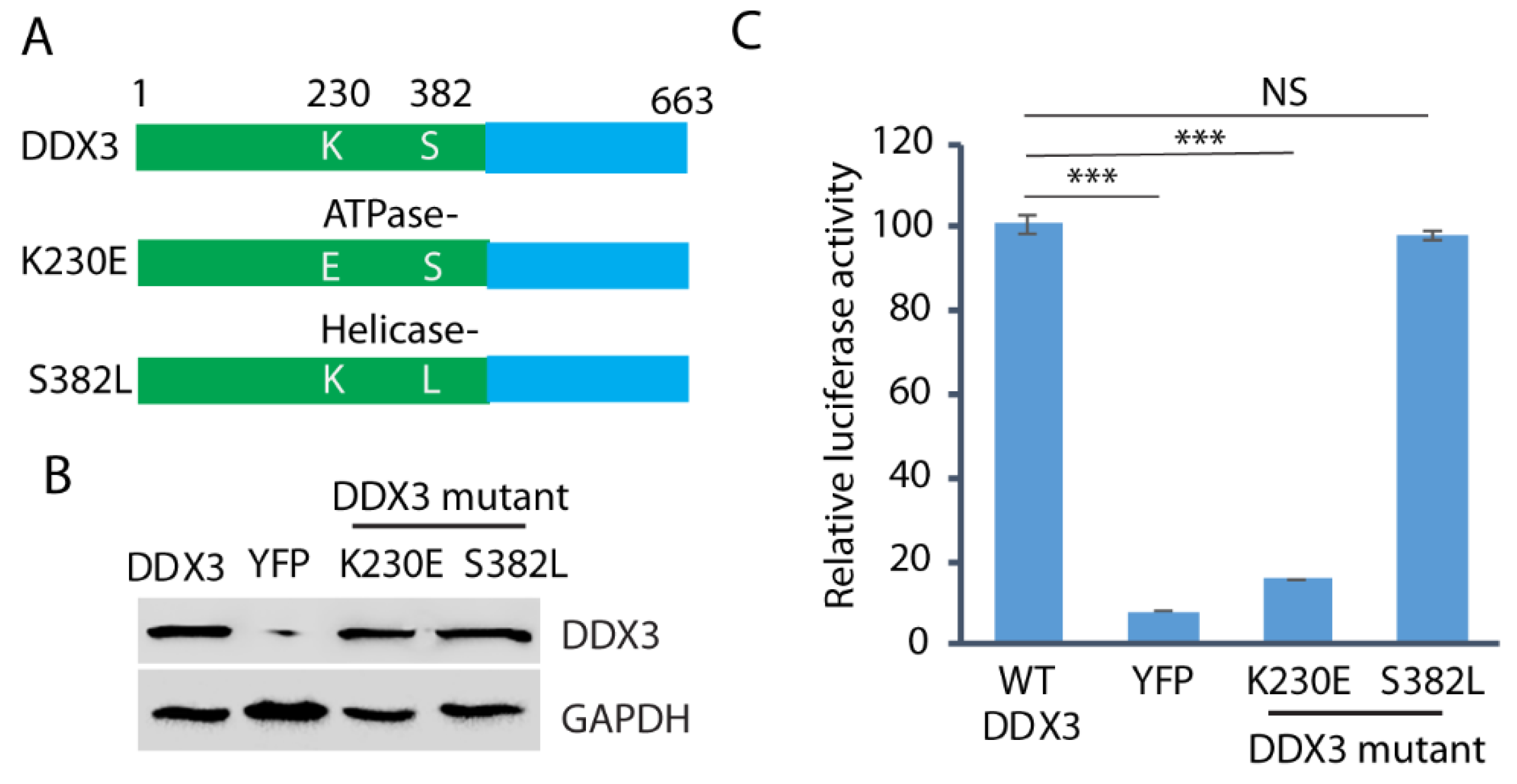 Pathogens 14 00177 g006