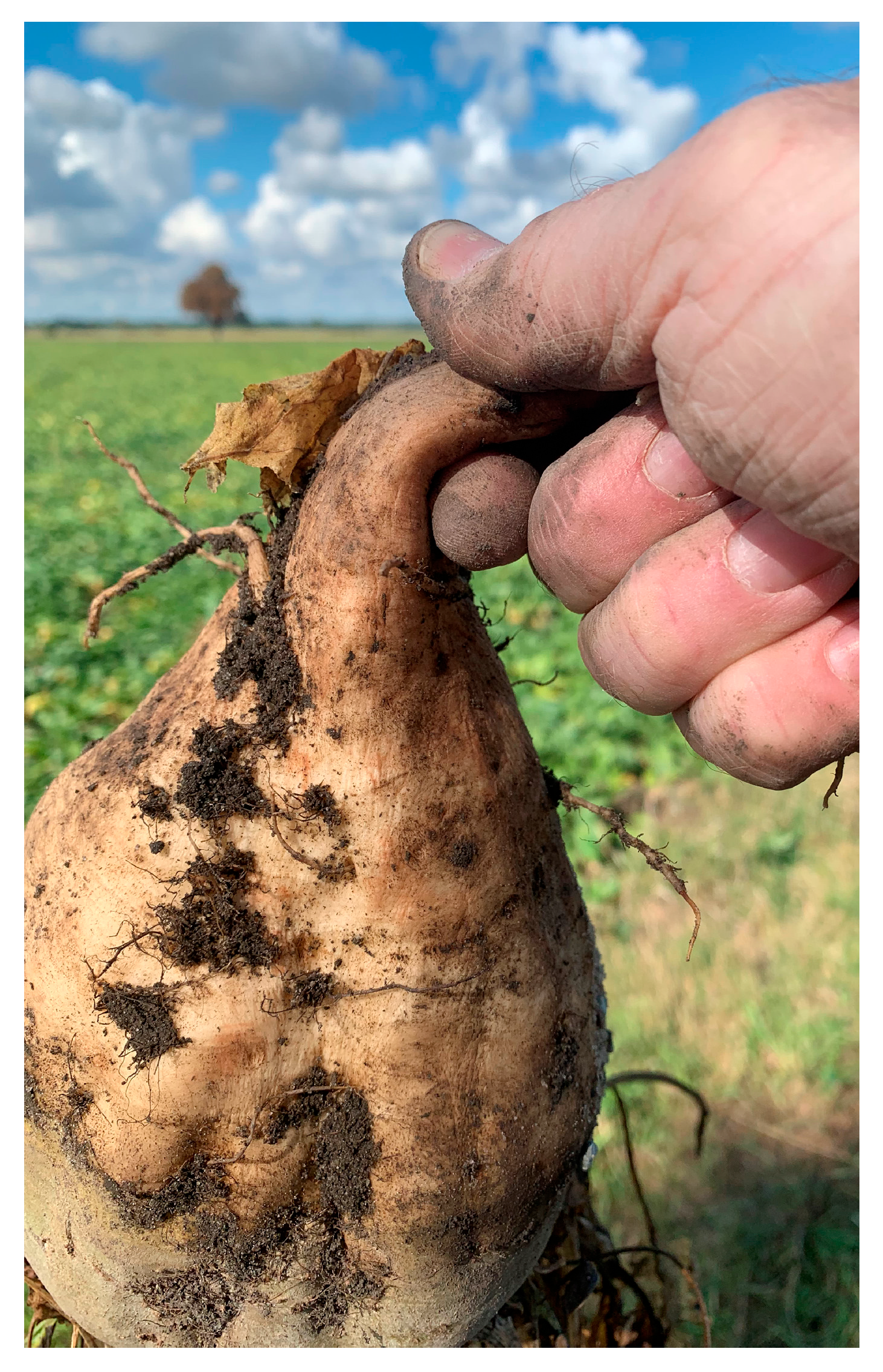 Pathogens 14 00180 g001