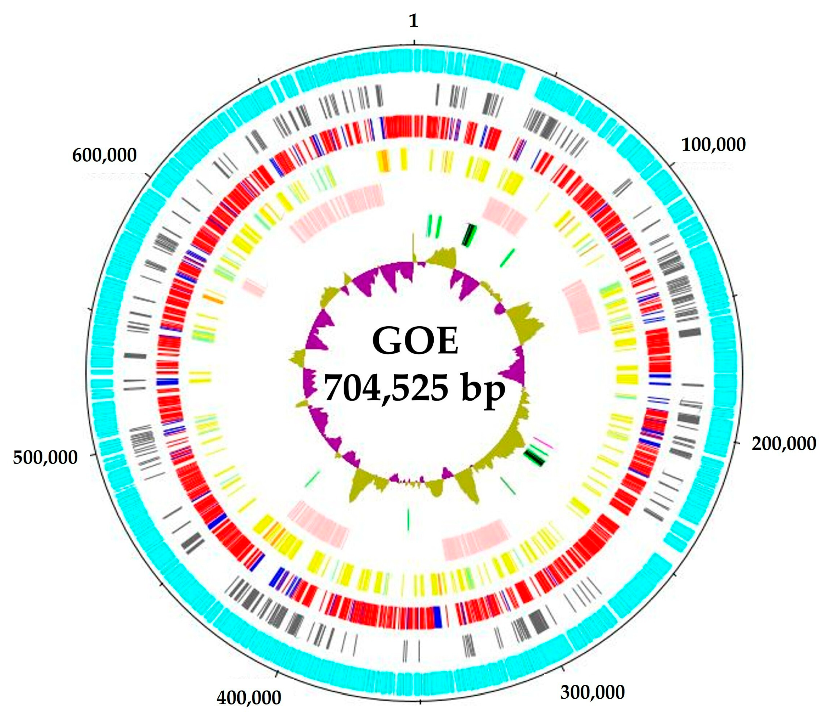 Pathogens 14 00180 g002