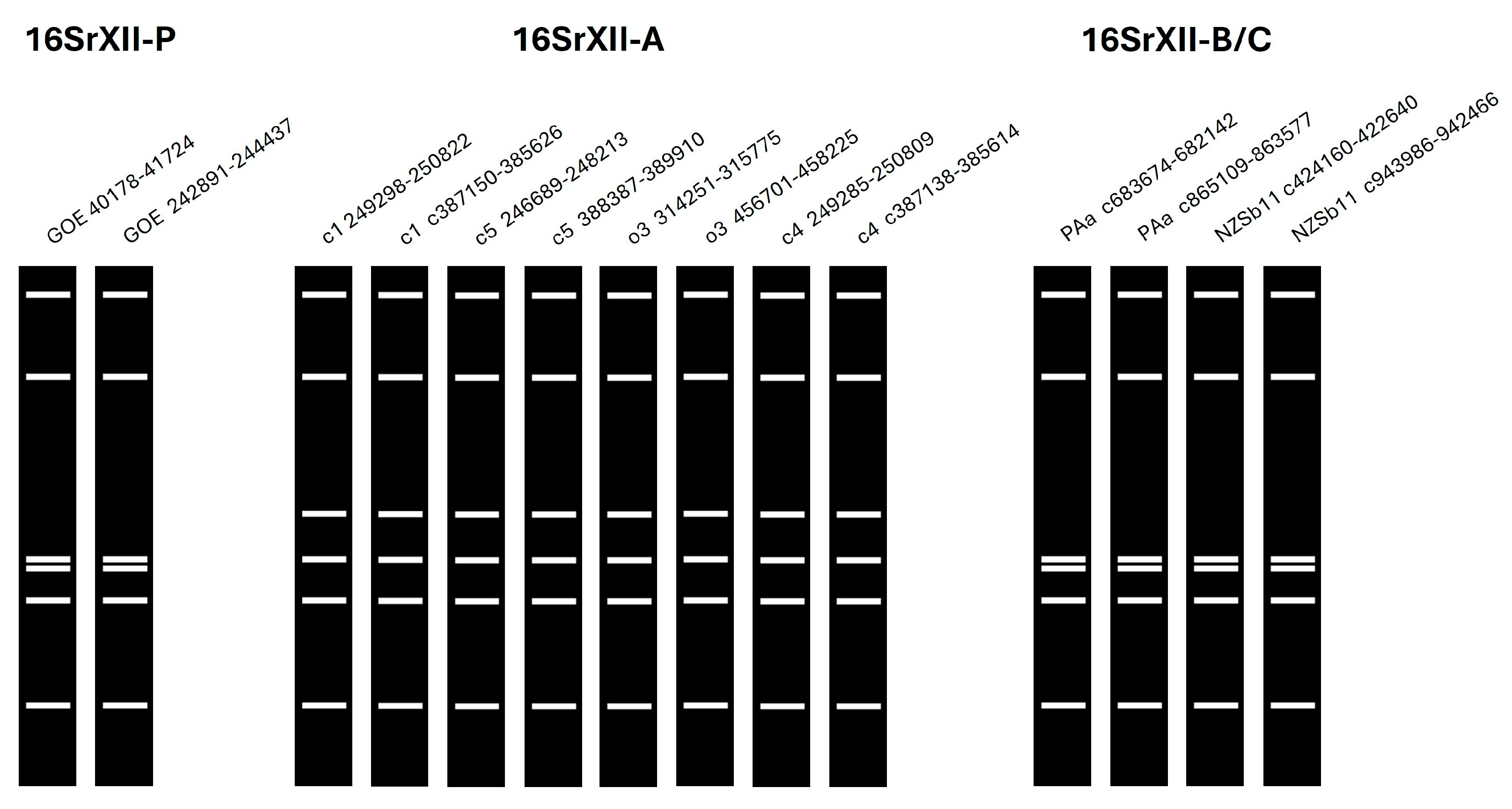 Pathogens 14 00180 g005
