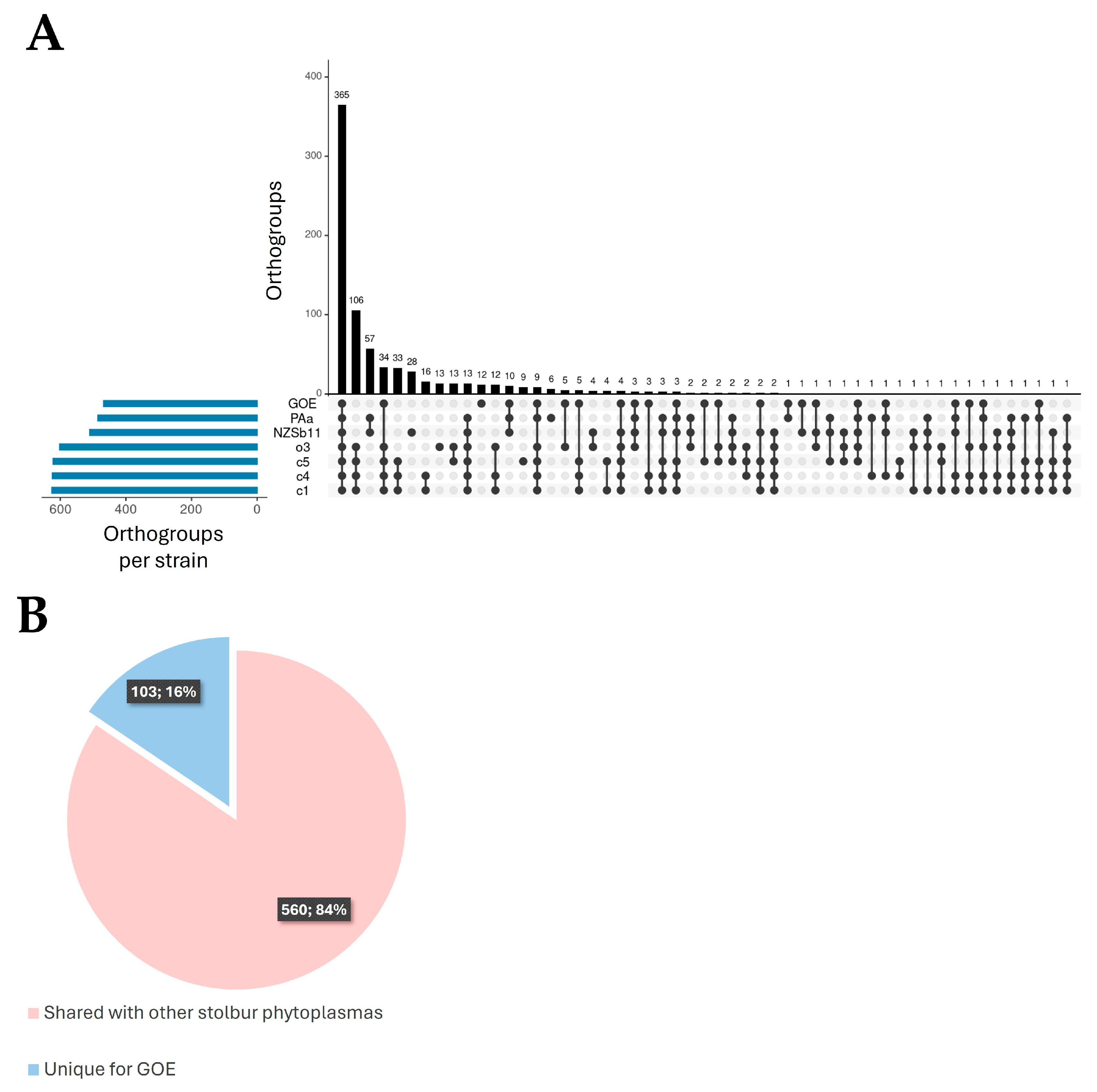 Pathogens 14 00180 g006
